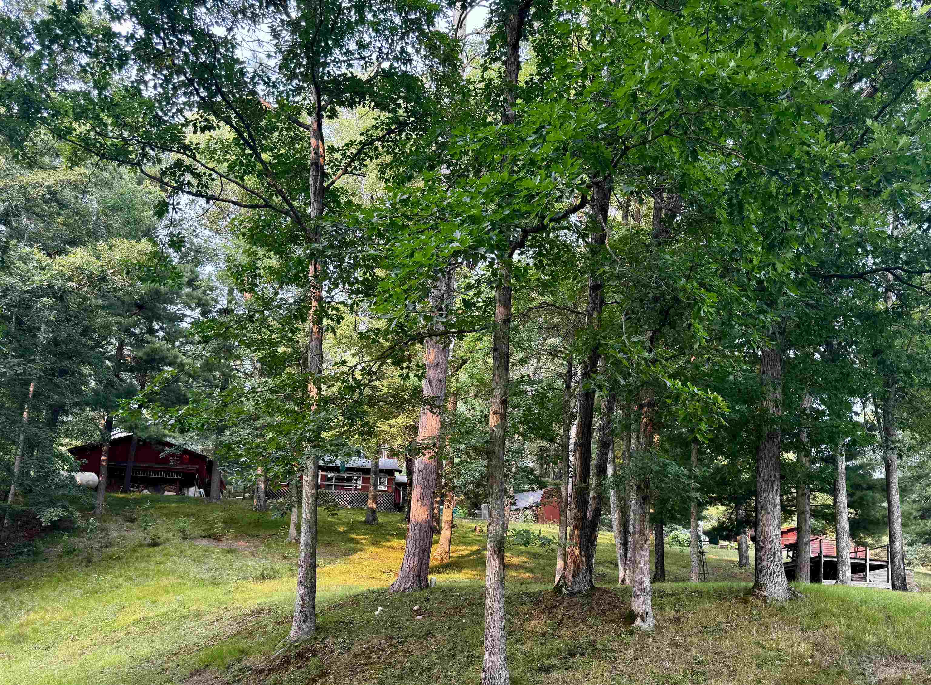 43rd image of 9625 Doe Rd, Harrison, MI 48625 | MLS# 50219125