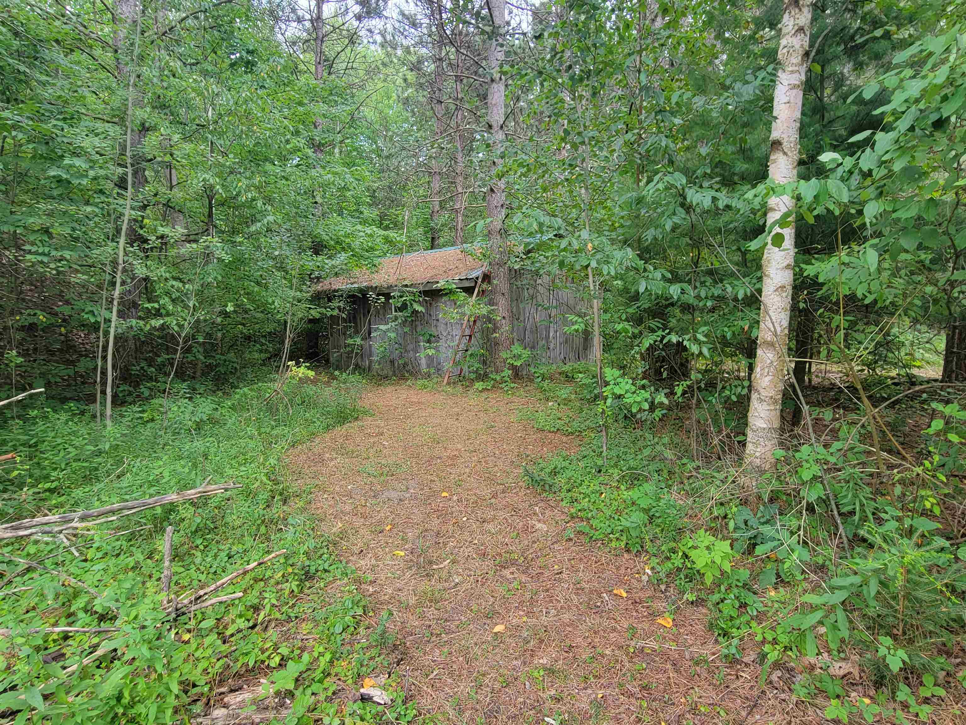 5th image of 2685 W Howard Rd, Beaverton, MI 48612 | MLS# 50219276