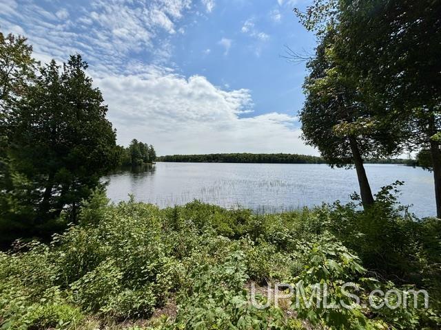 4th image of 35379 Wolf Lake Rd, Champion, MI 49814 | MLS# 50219471