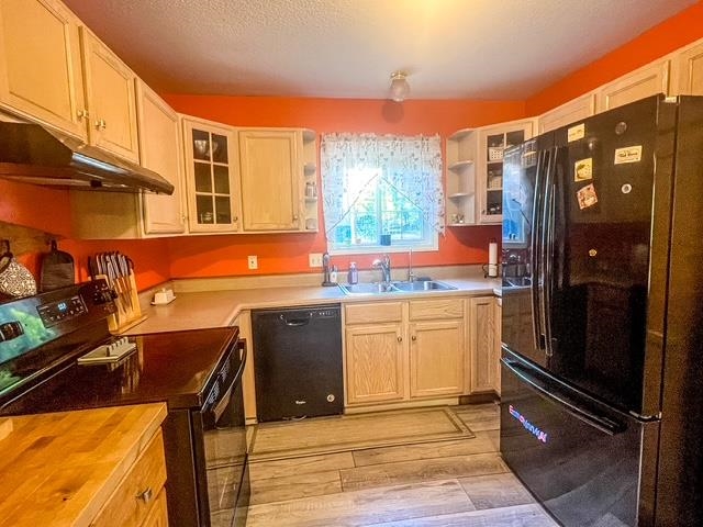 Photo 3 of Single family home for sale at 4721 Teaberry Ln, Farwell, MI 48622 | MLS# 50219493 | Listing updated on 2026-09-18