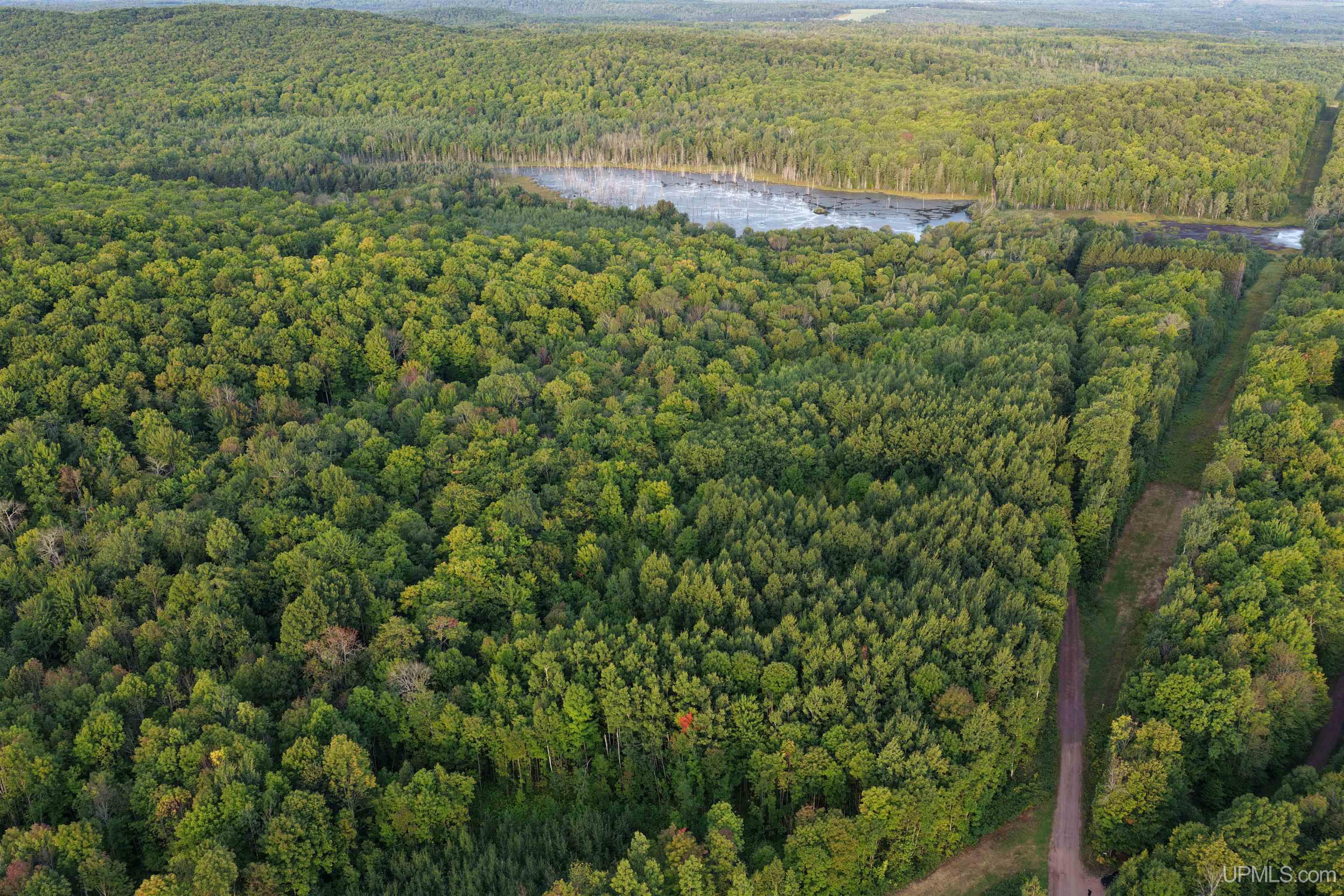 2nd image of Tbd Strangle Rd, Bruce Crossing, MI 49912 | MLS# 50219688