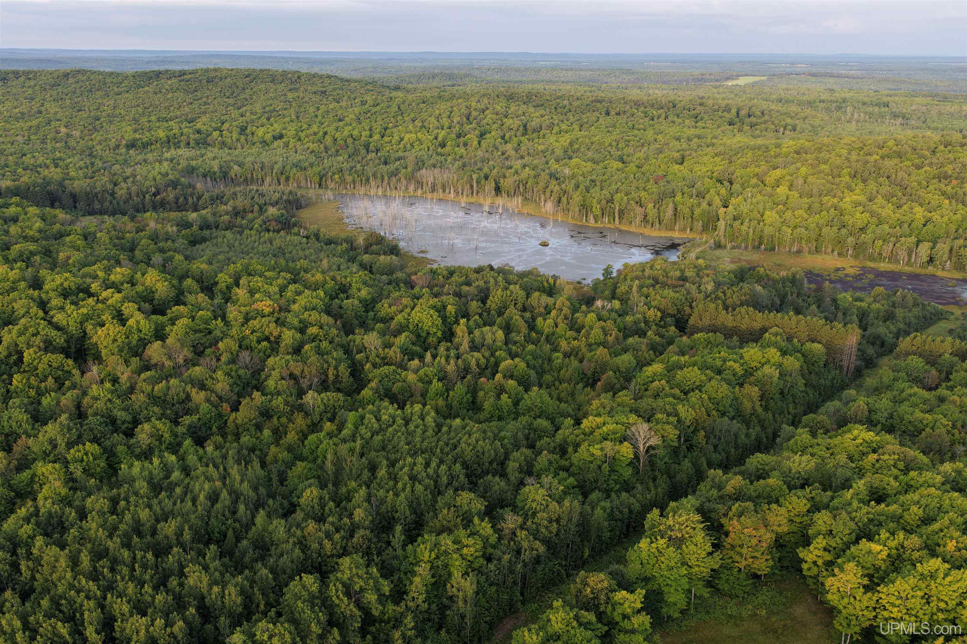 3rd image of Tbd Strangle Rd, Bruce Crossing, MI 49912 | MLS# 50219688