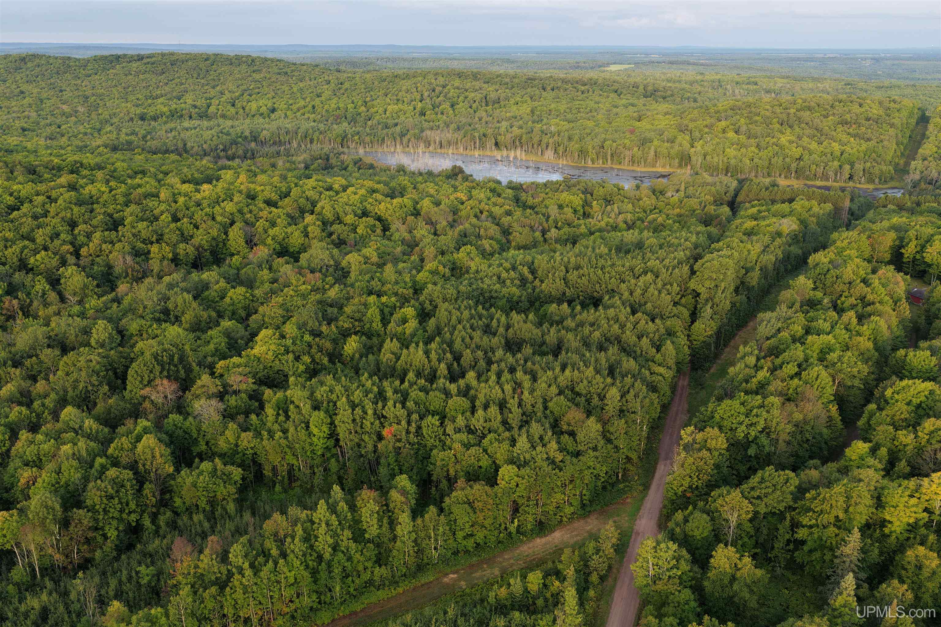 4th image of Tbd Strangle Rd, Bruce Crossing, MI 49912 | MLS# 50219688