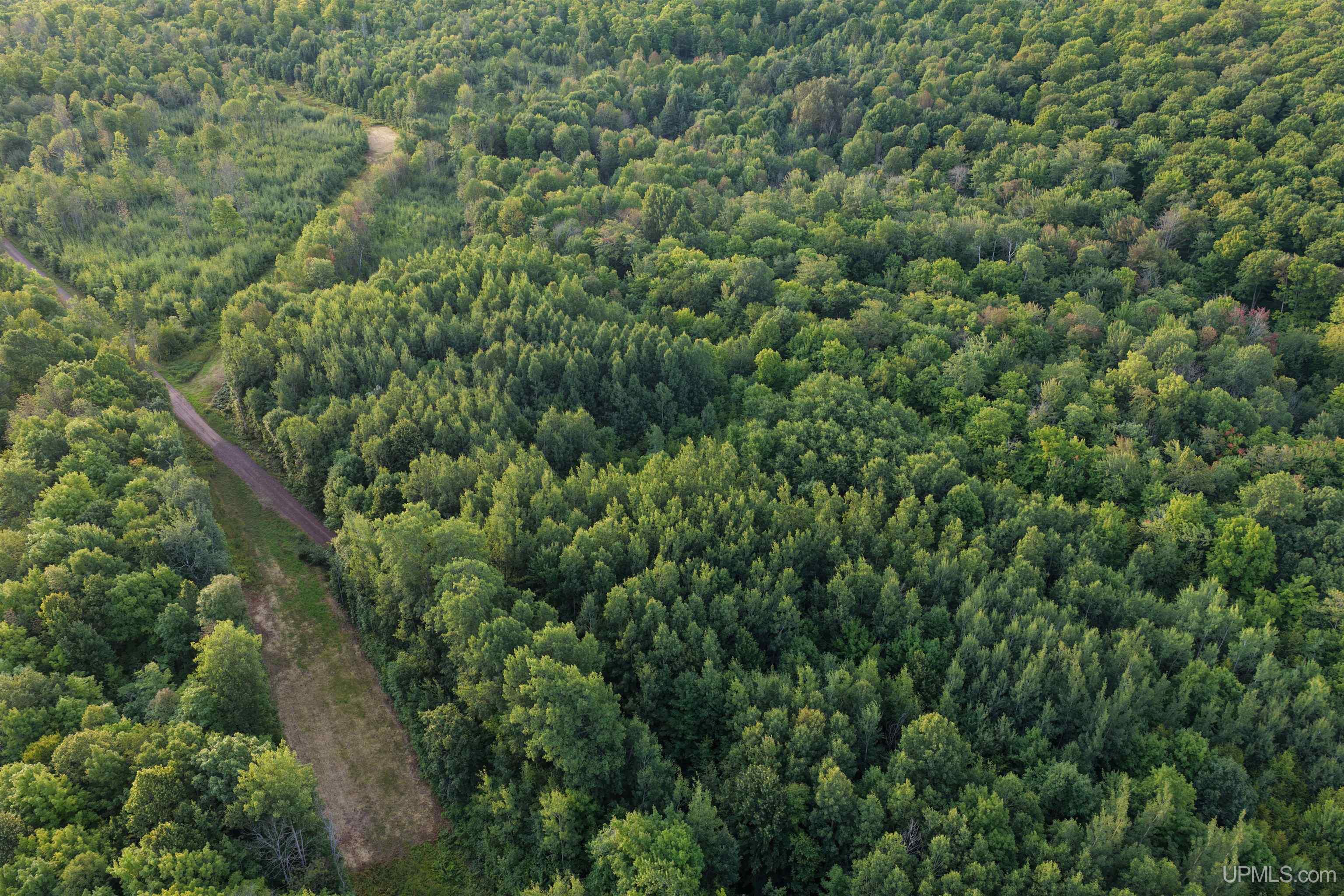 5th image of Tbd Strangle Rd, Bruce Crossing, MI 49912 | MLS# 50219688