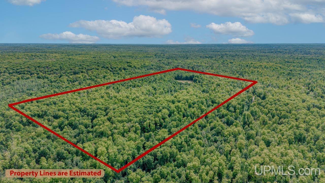16th image of 673 & 685 Yalmer Rd, Skandia, MI 49885 | MLS# 50219707
