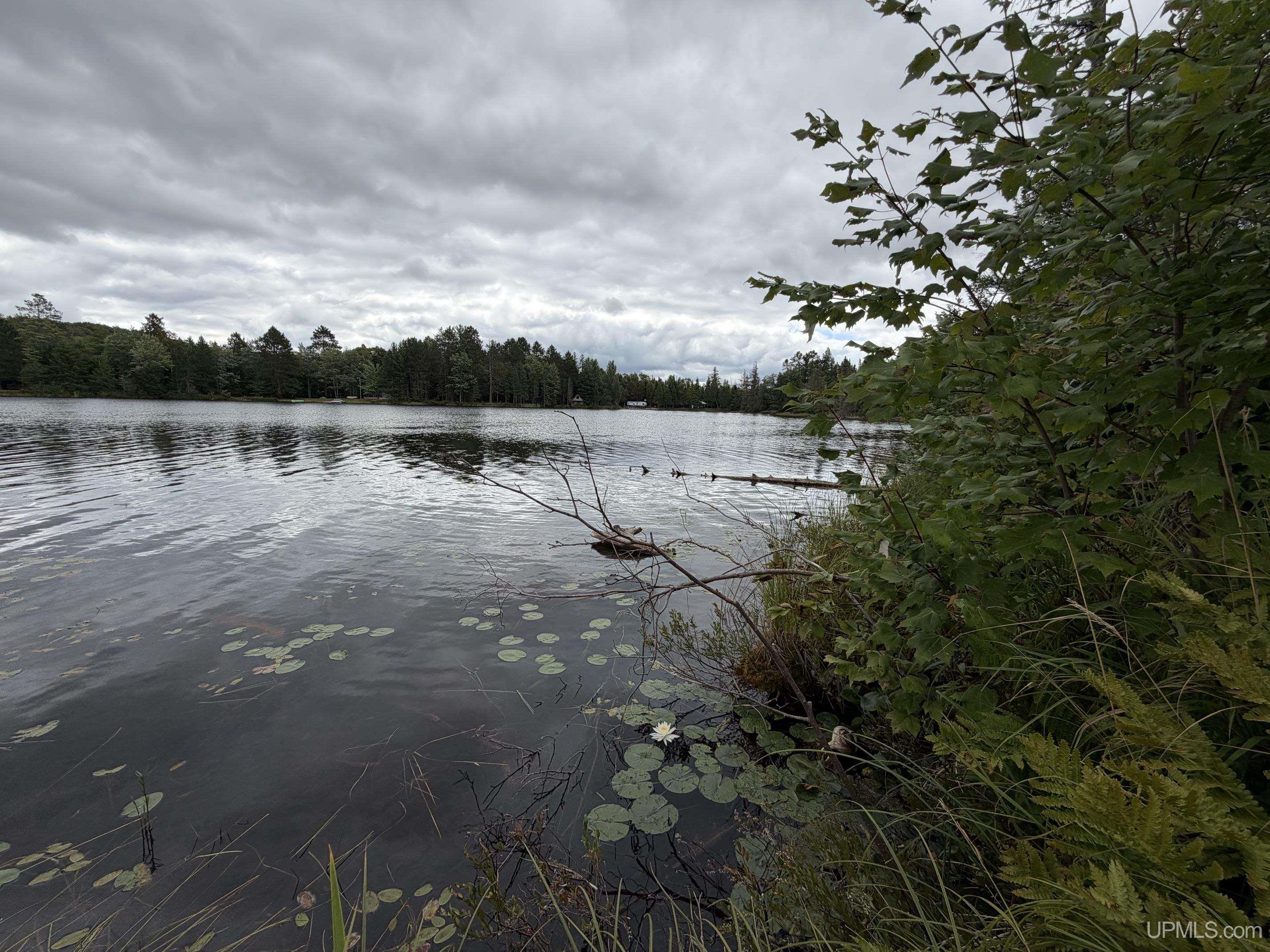 1st image of Tbd N Casey Lake Rd, Ishpeming, MI 49849 | MLS# 50219784