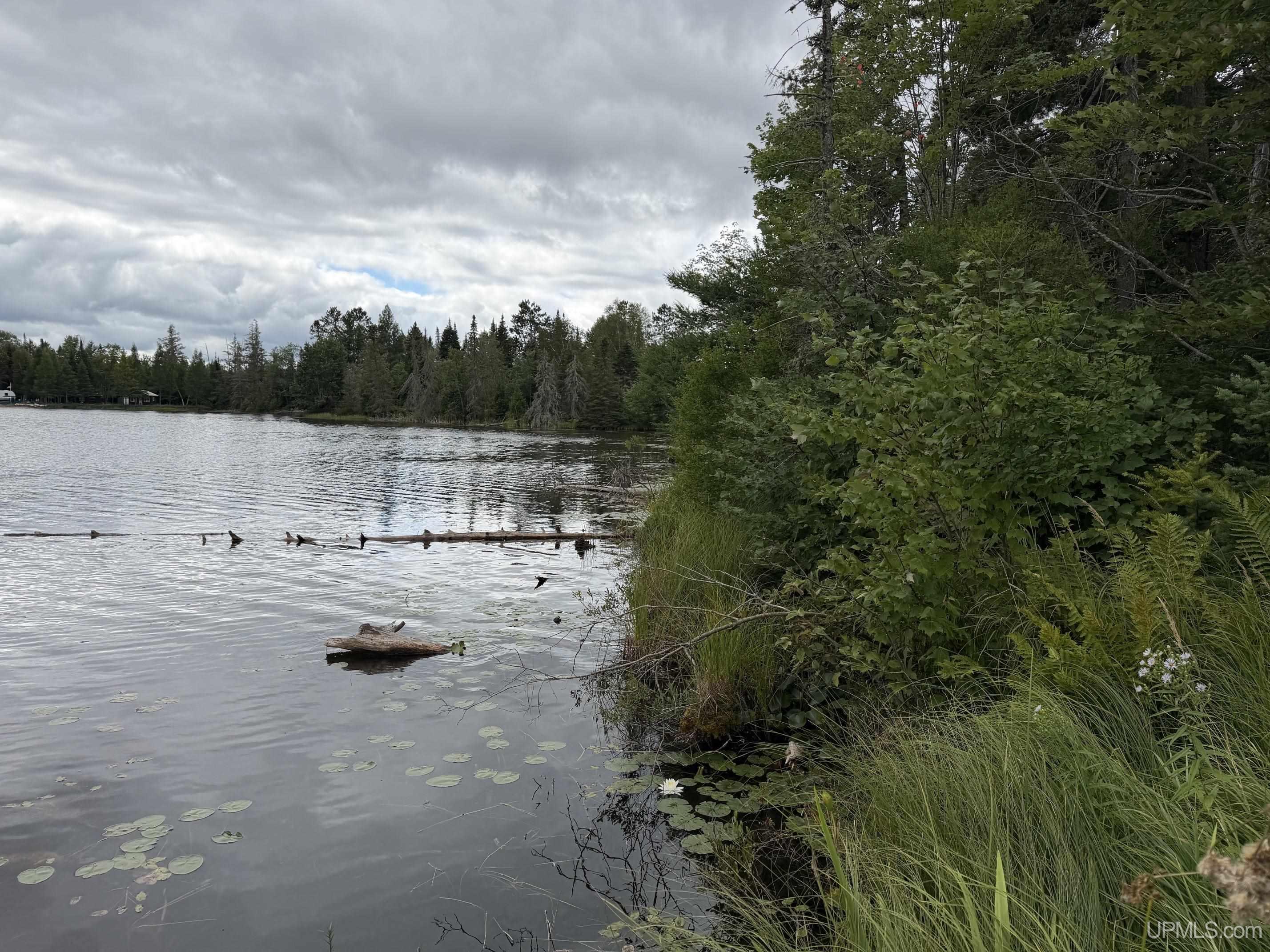 3rd image of Tbd N Casey Lake Rd, Ishpeming, MI 49849 | MLS# 50219784