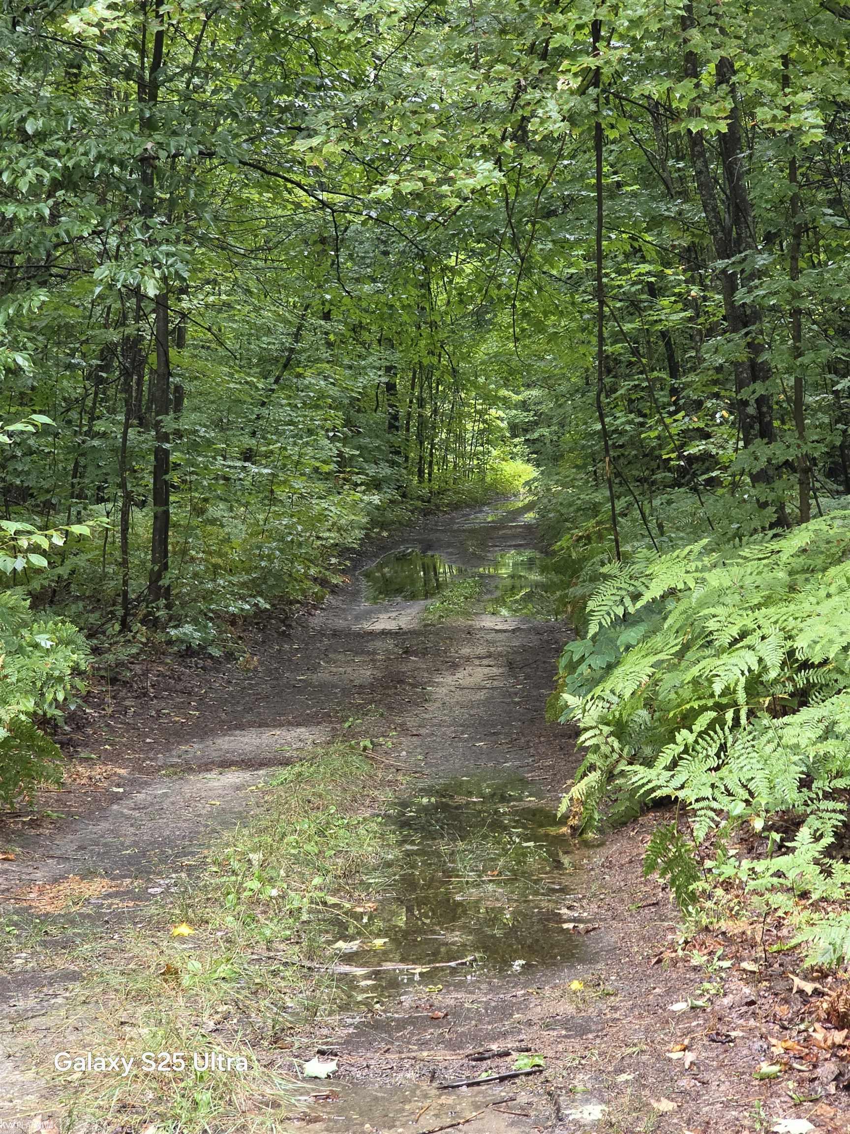 2nd image of 7925 Ne Gibby Rd, Kalkaska, MI 49646 | MLS# 50219790