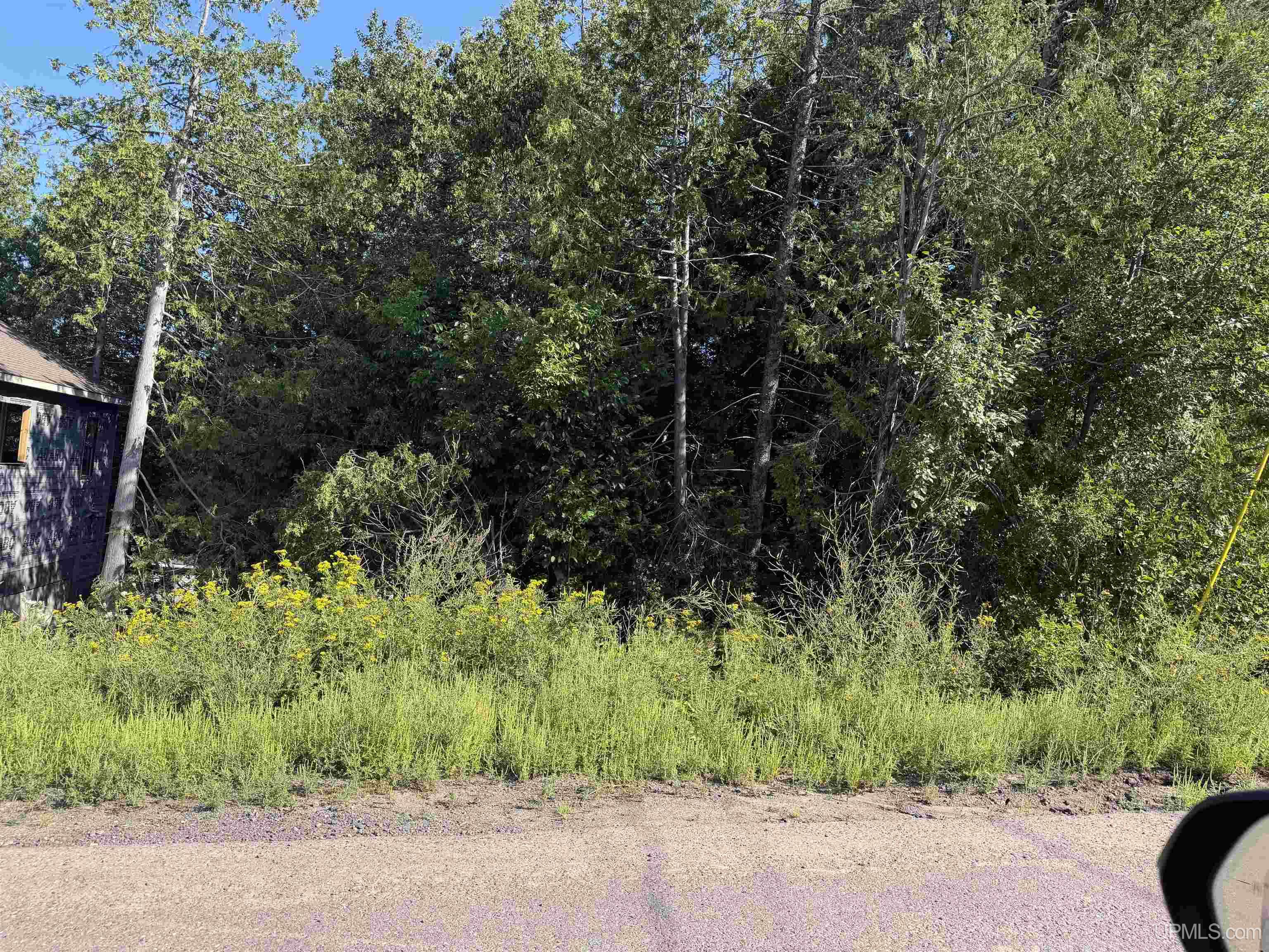 1st image of 308 Sibley St, Houghton, MI 49931 | MLS# 50219887