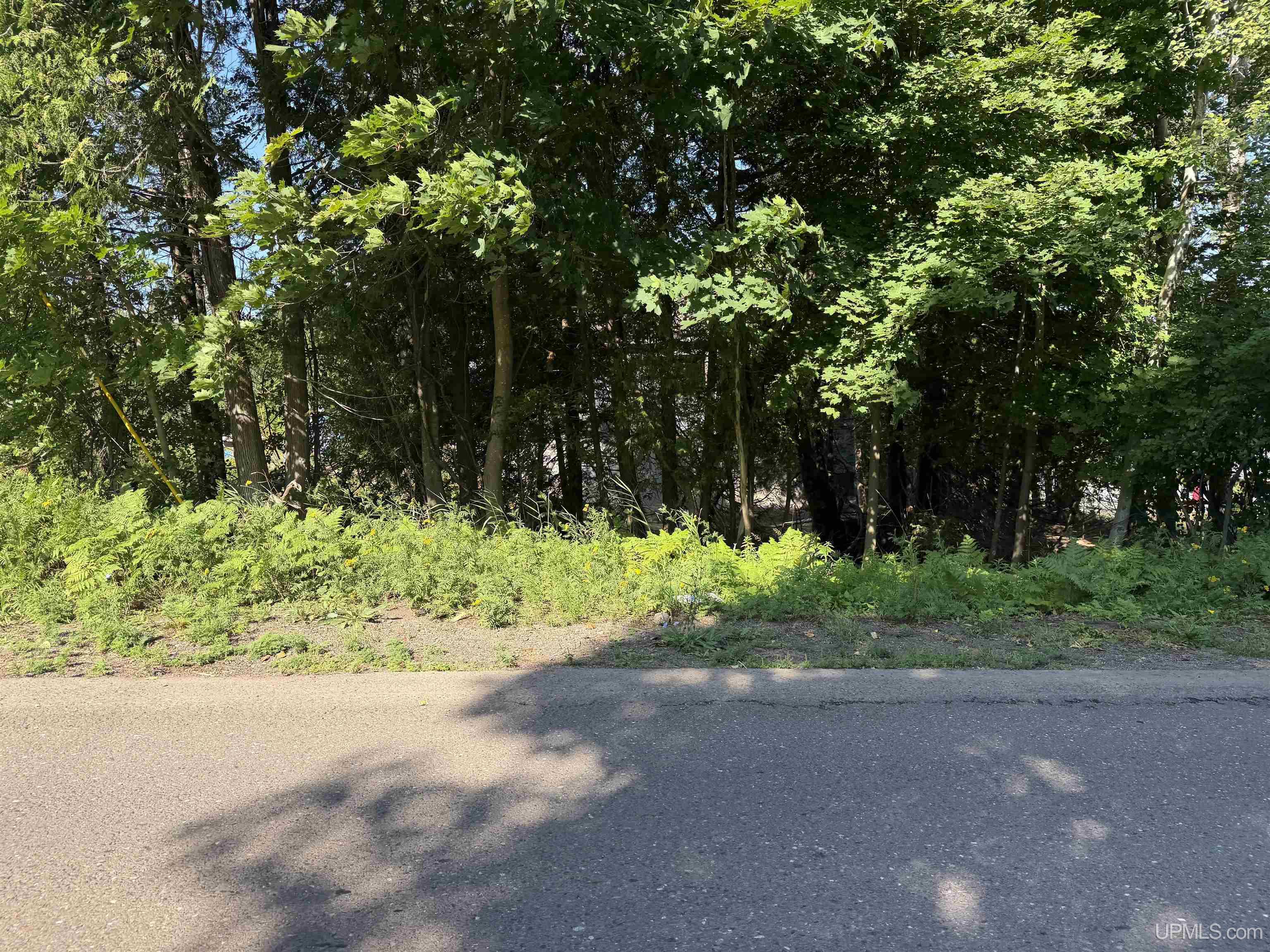 3rd image of 308 Sibley St, Houghton, MI 49931 | MLS# 50219887
