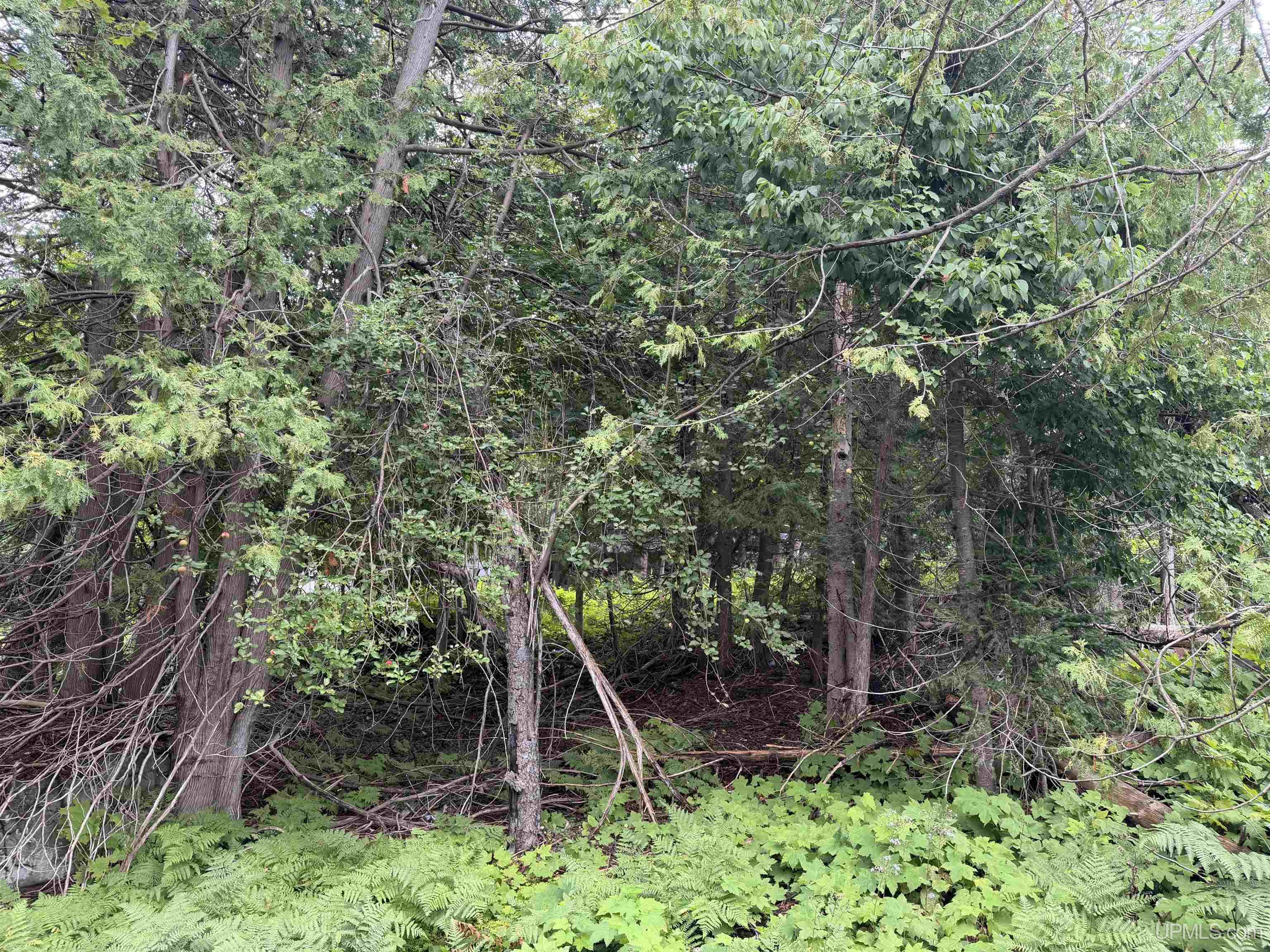 4th image of 308 Sibley St, Houghton, MI 49931 | MLS# 50219887