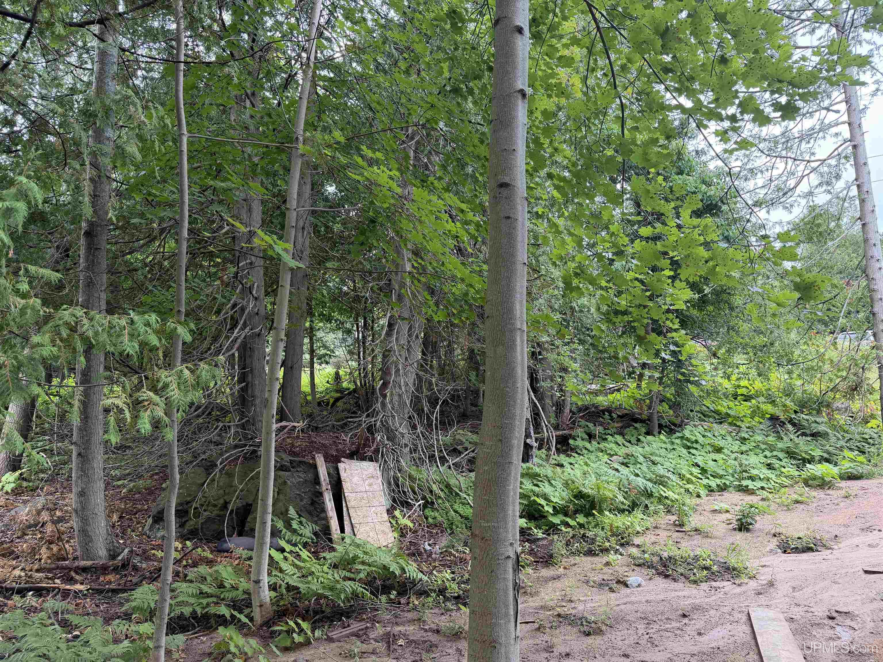 5th image of 308 Sibley St, Houghton, MI 49931 | MLS# 50219887