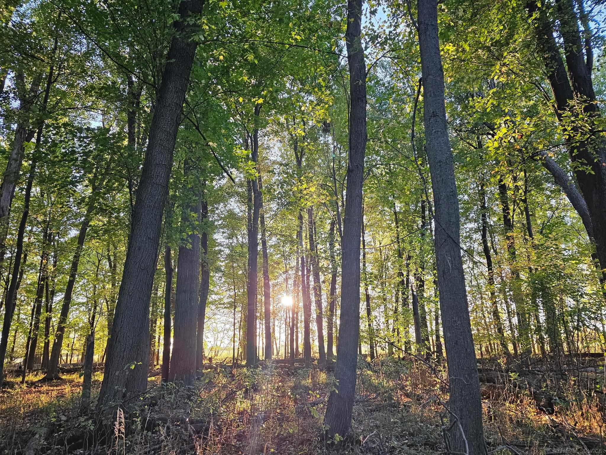 1st image of 00 E Kilgore Rd, Croswell, MI 48422 | MLS# 50219904