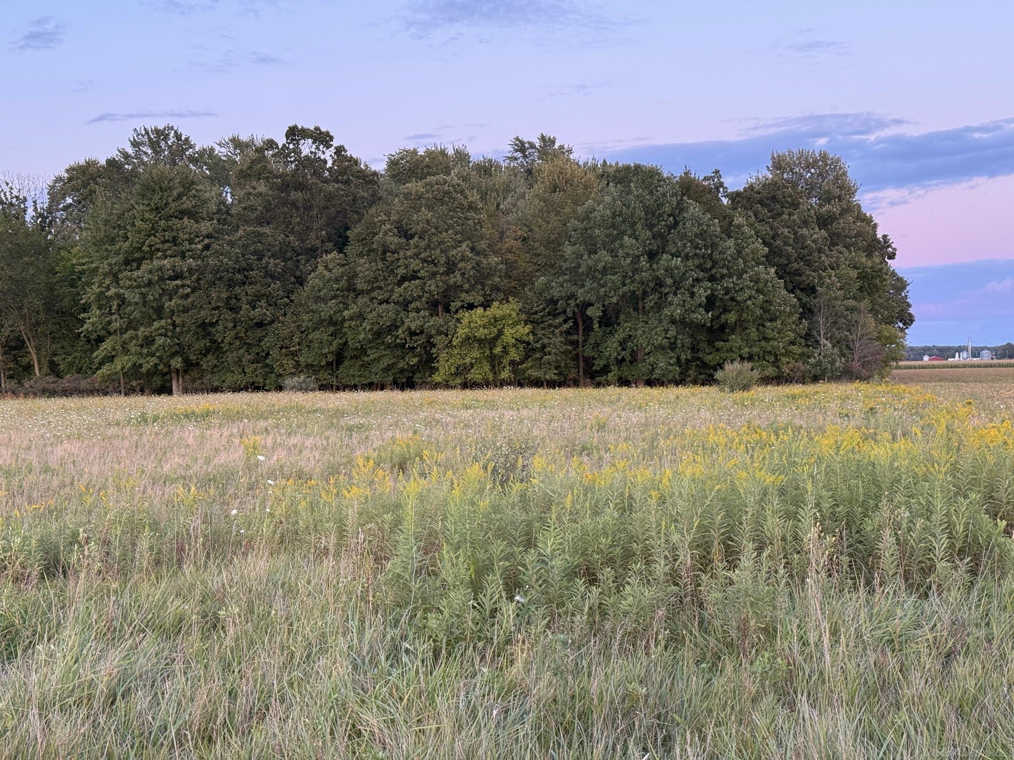 4th image of 00 E Kilgore Rd, Croswell, MI 48422 | MLS# 50219904