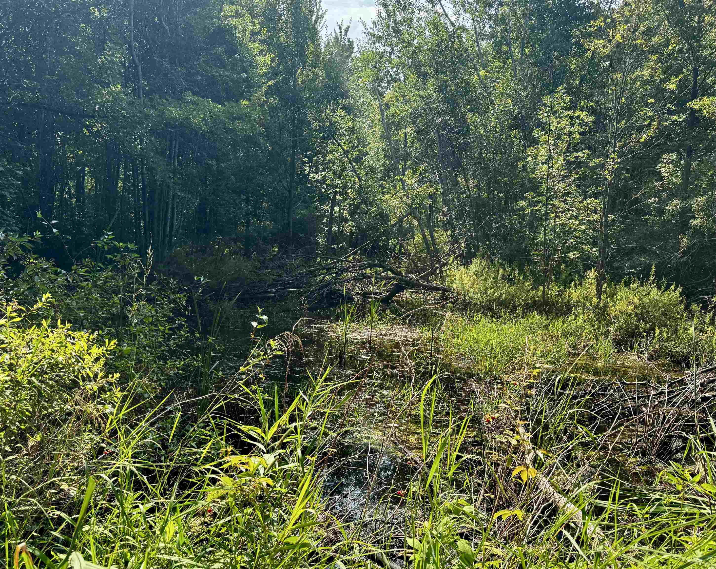 22nd image of 875 N Lake Station Ave, Harrison, MI 48625 | MLS# 50219990