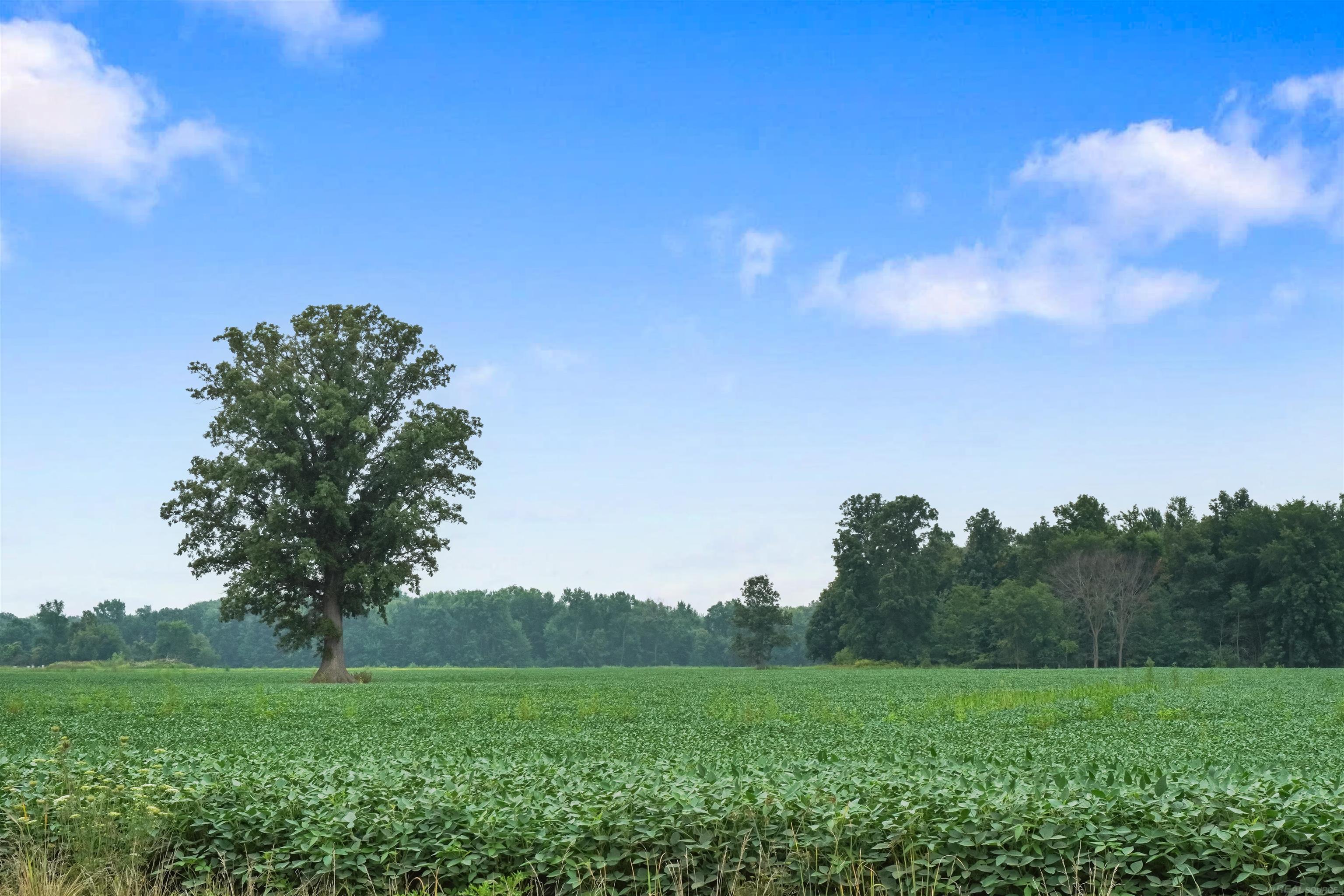 Photo 2 of Land for sale at 64990 Gratiot Ave, Lenox, MI 48050 | MLS# 50220389 | Listing updated on 2026-09-01