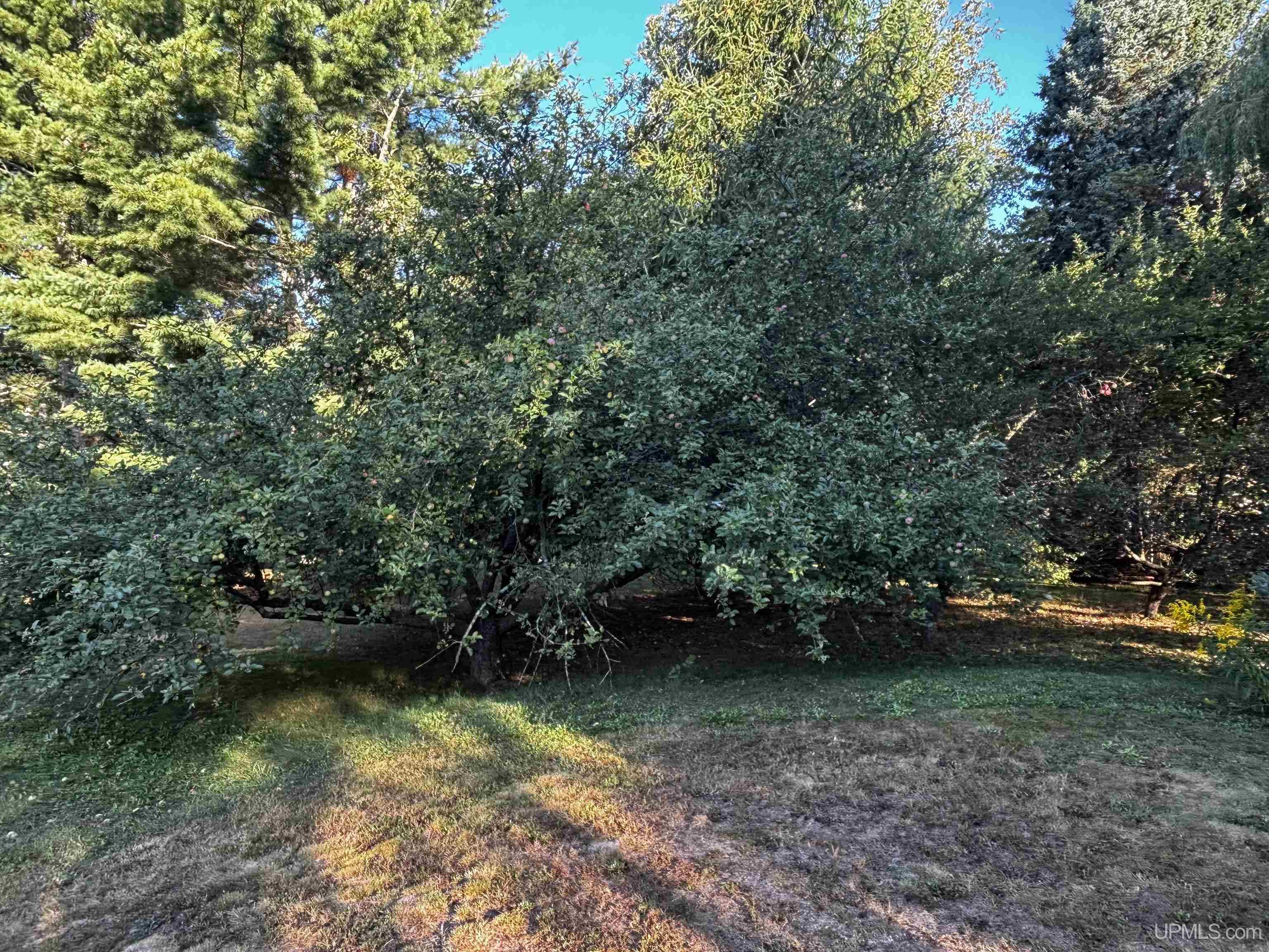 Photo 4 of Single family home for sale at 127 Carriage Ln, Marquette, MI 49855 | MLS# 50220435 | Listing updated on 2026-09-02
