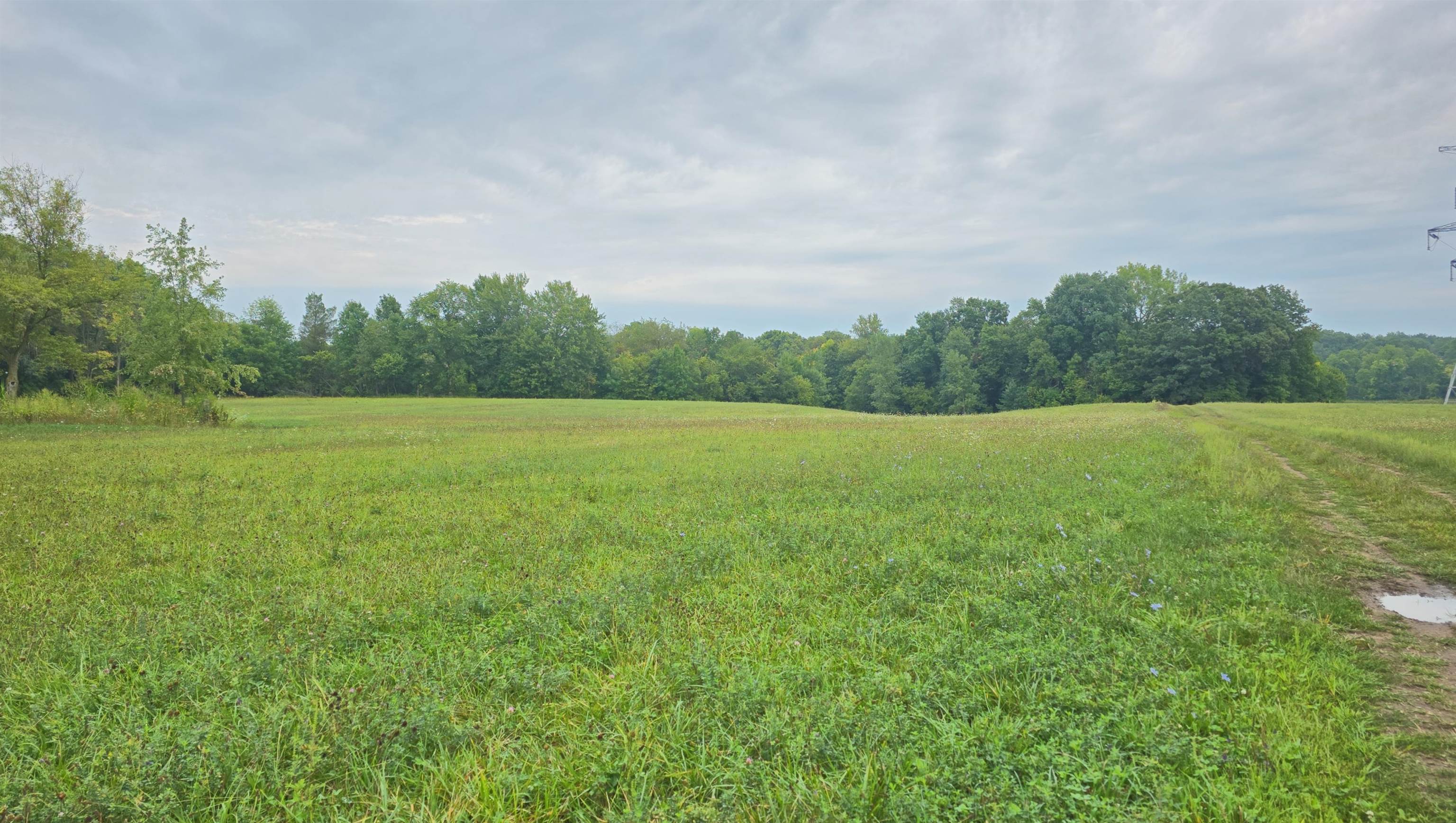Photo 3 of Land for sale at 00 Seymour Rd, Montrose, MI 48457 | MLS# 50220502 | Listing updated on 2026-09-14
