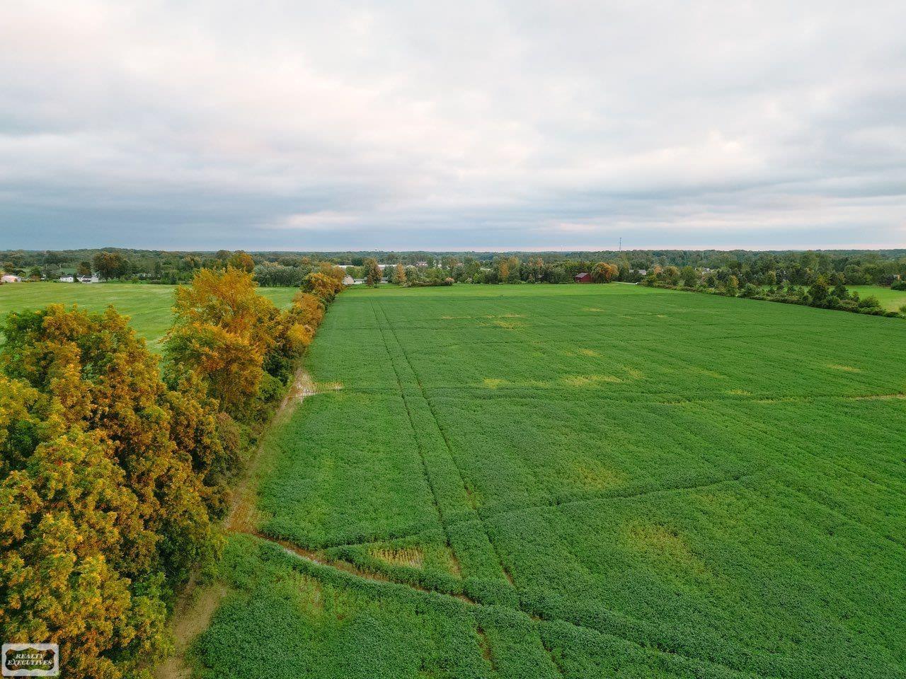 Photo 4 of Land for sale at 0 Memphis Rd, Riley, MI 48041 | MLS# 50220598 | Listing updated on 2026-09-02