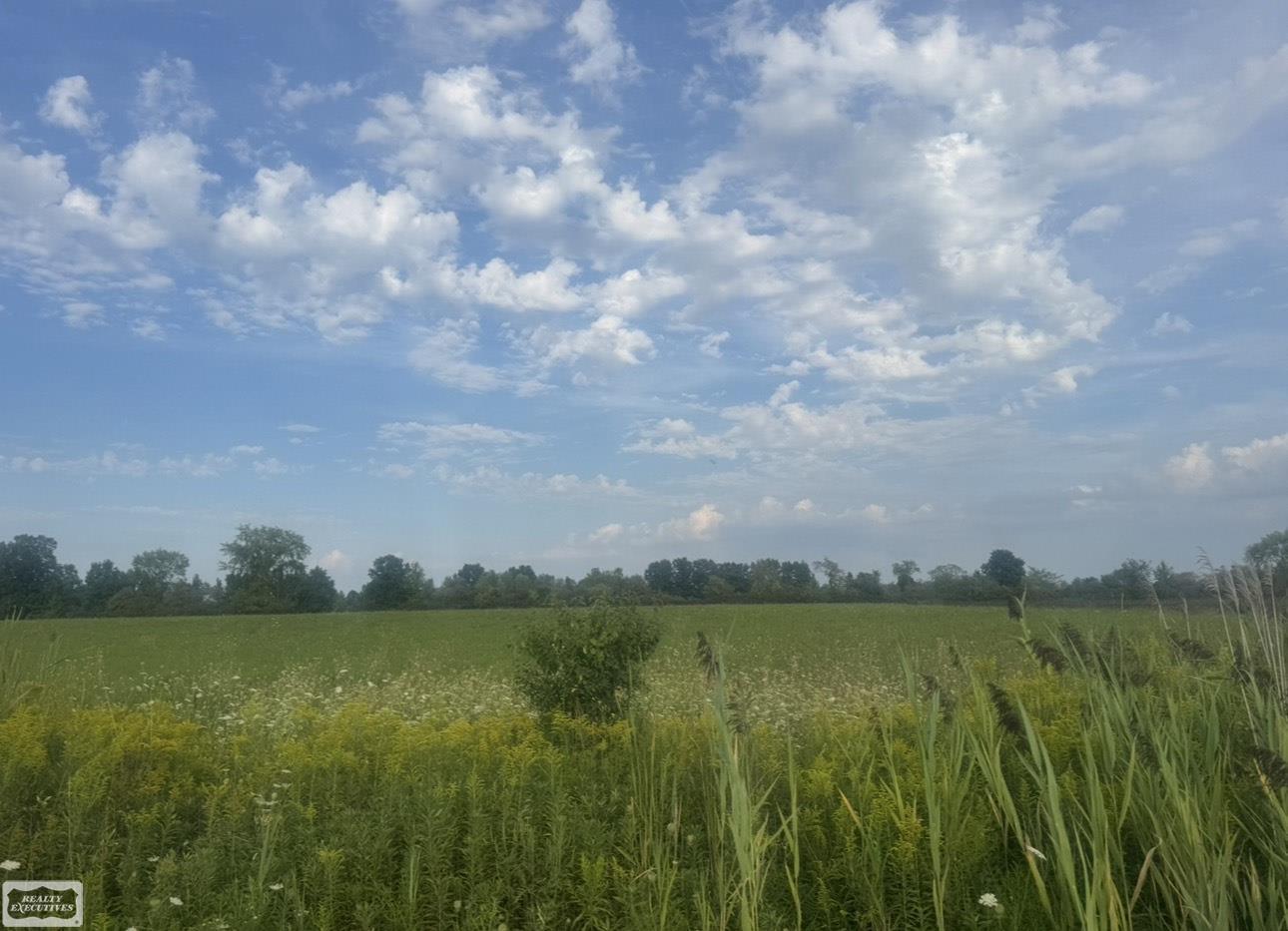 Photo 5 of Land for sale at 0 Memphis Rd, Riley, MI 48041 | MLS# 50220598 | Listing updated on 2026-09-02