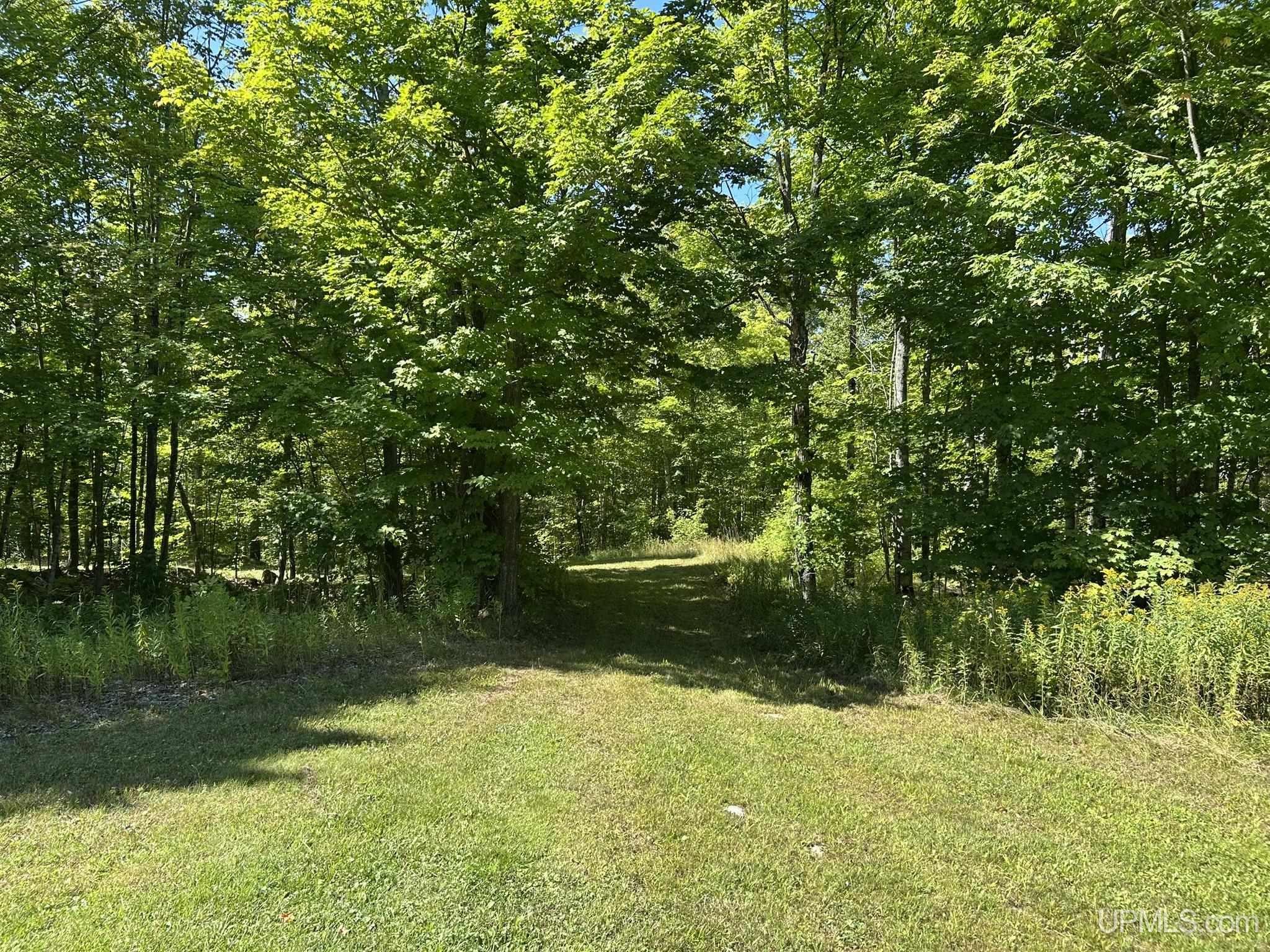 Photo 18 of Single family home for sale at 539 Dalton Rd, Skandia, MI 49885 | MLS# 50220728 | Listing updated on 2026-09-03