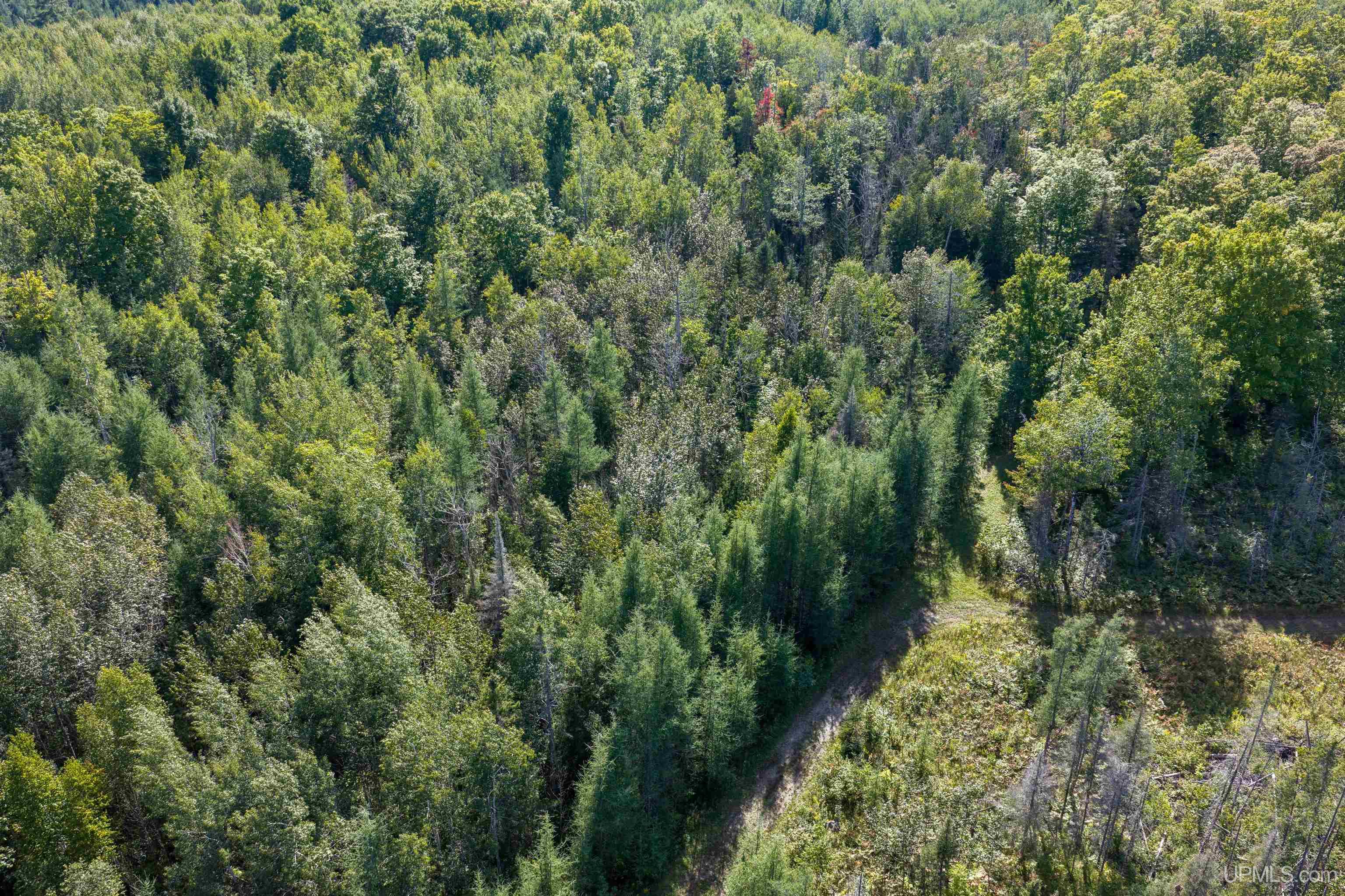 Photo 2 of Land for sale at 1746 Sz Rd, Arnold, MI 49819 | MLS# 50220815 | Listing updated on 2026-09-04