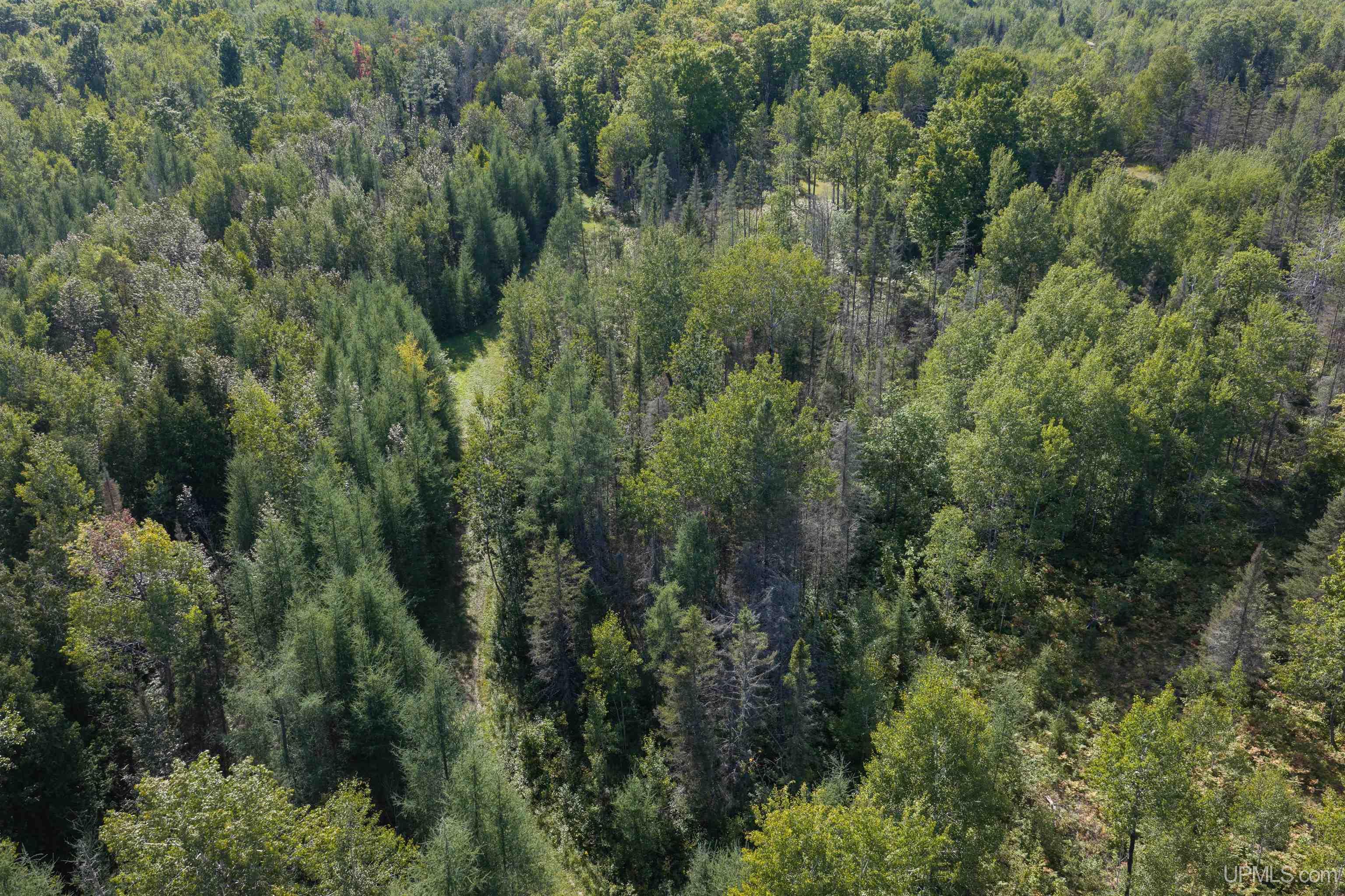 Photo 3 of Land for sale at 1746 Sz Rd, Arnold, MI 49819 | MLS# 50220815 | Listing updated on 2026-09-04