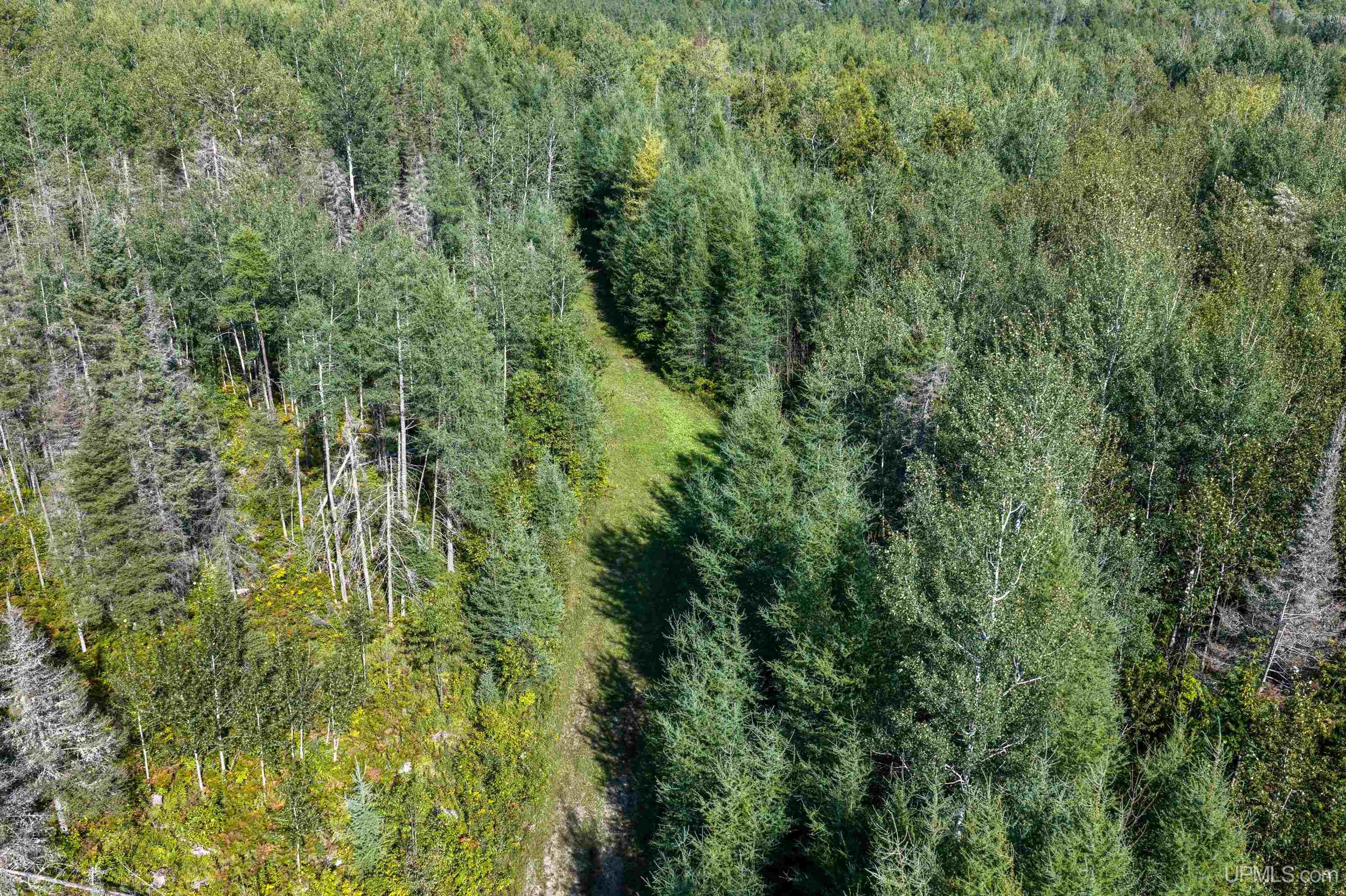 Photo 4 of Land for sale at 1746 Sz Rd, Arnold, MI 49819 | MLS# 50220815 | Listing updated on 2026-09-04