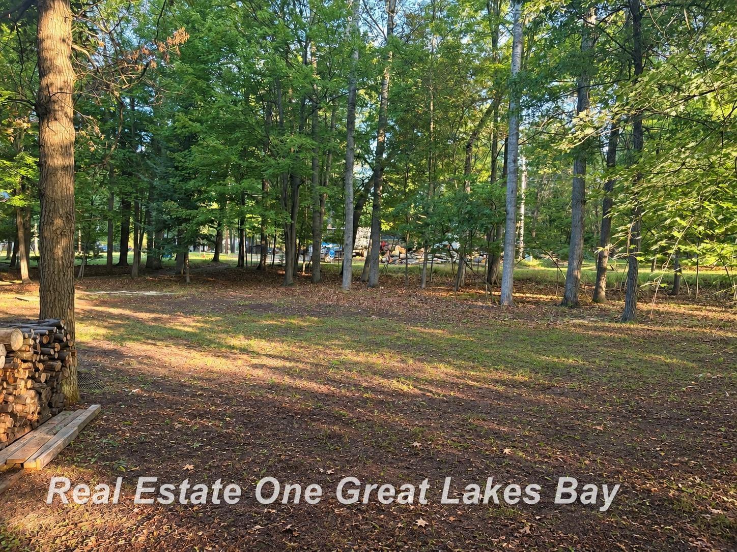 Photo 3 of Land for sale at 000 Cuyuga Trl, West Branch, MI 48661 | MLS# 61050220967 | Listing updated on 2026-09-16