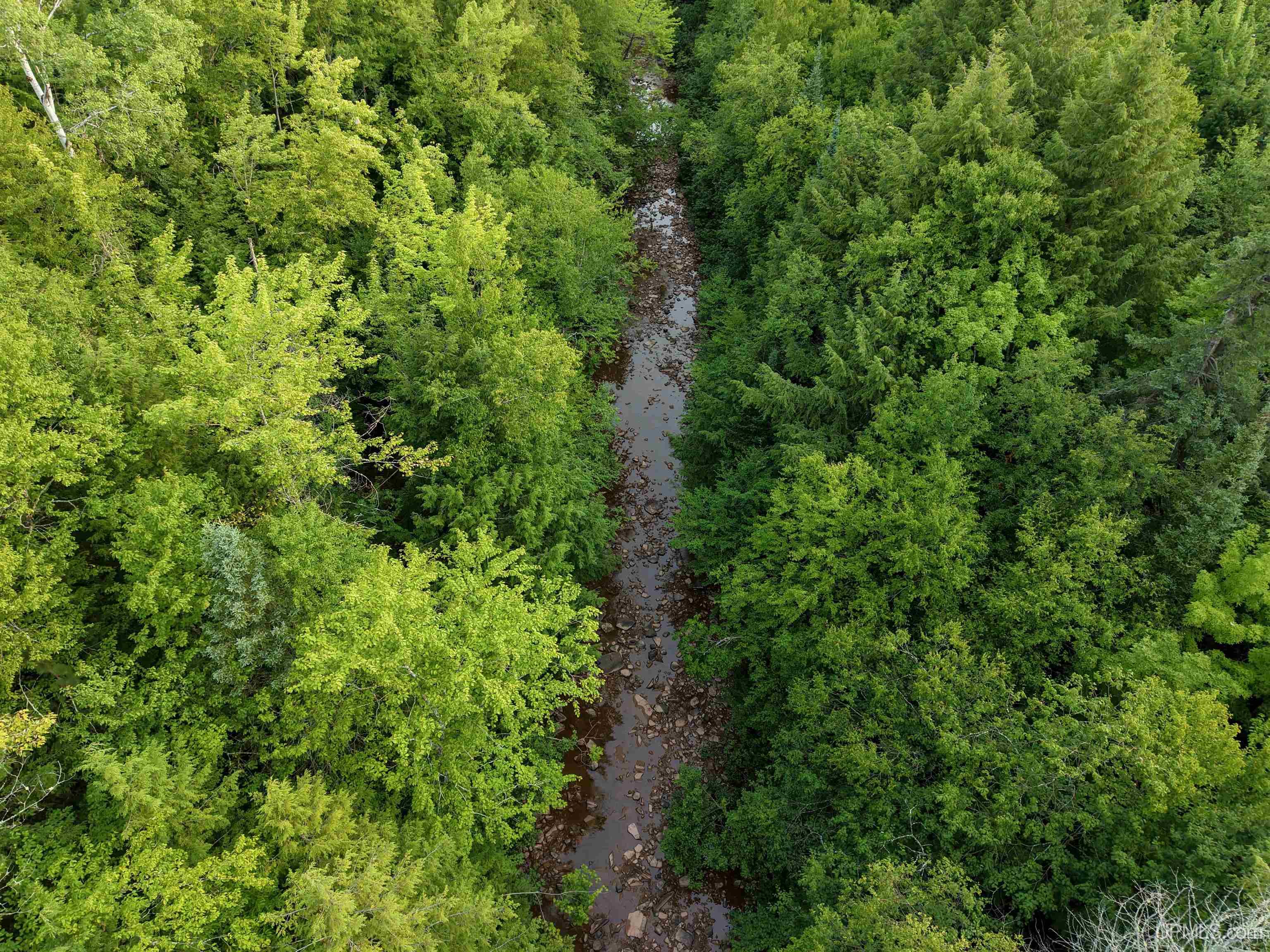 Photo 2 of Land for sale at Lot 13 (north) M 64 Hwy, Ontonagon, MI 49953 | MLS# 50221606 | Listing updated on 2026-09-12