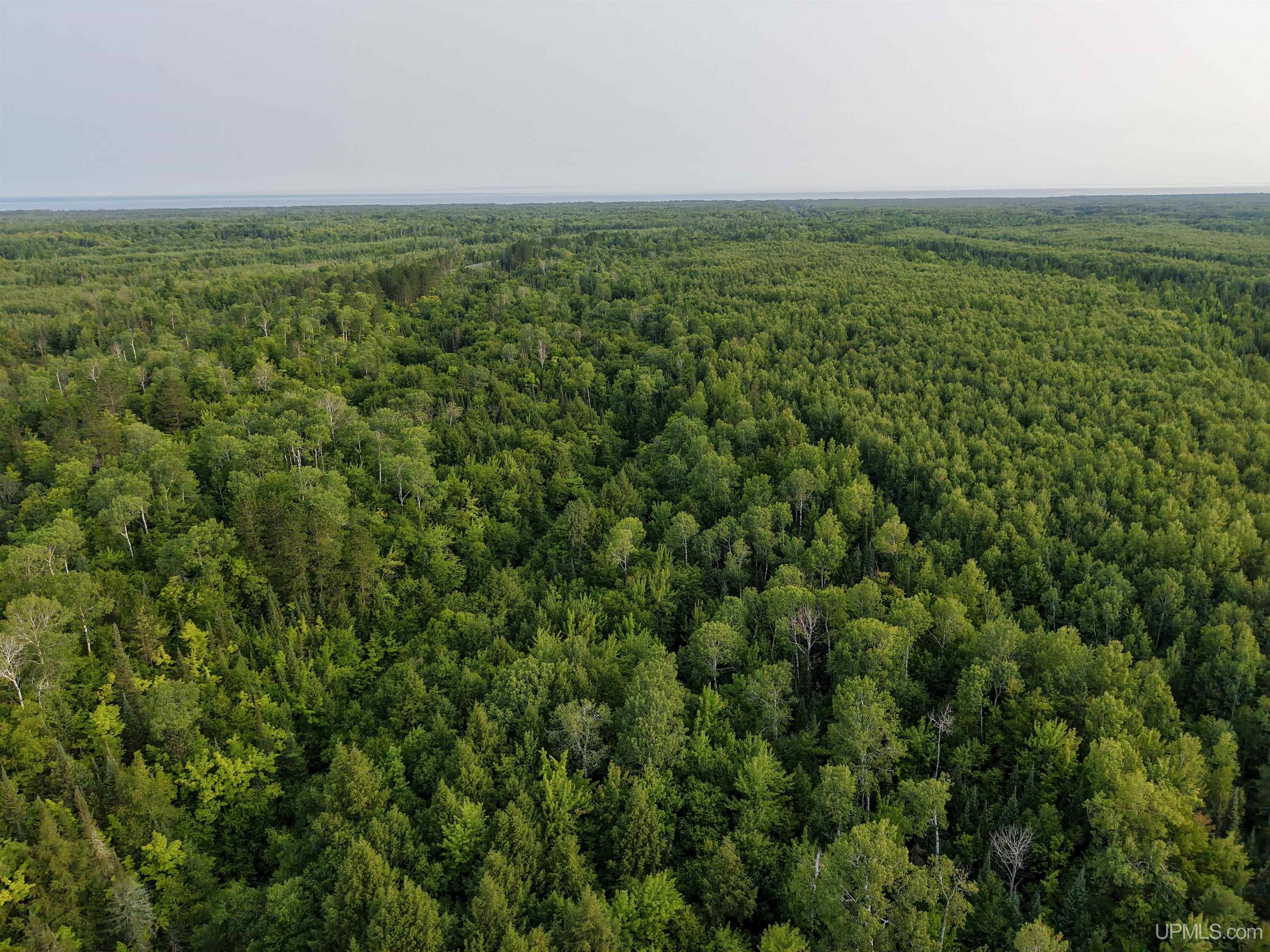 Photo 2 of Land for sale at Lot 13 (south) M 64 Hwy, Ontonagon, MI 49953 | MLS# 50221608 | Listing updated on 2026-09-12