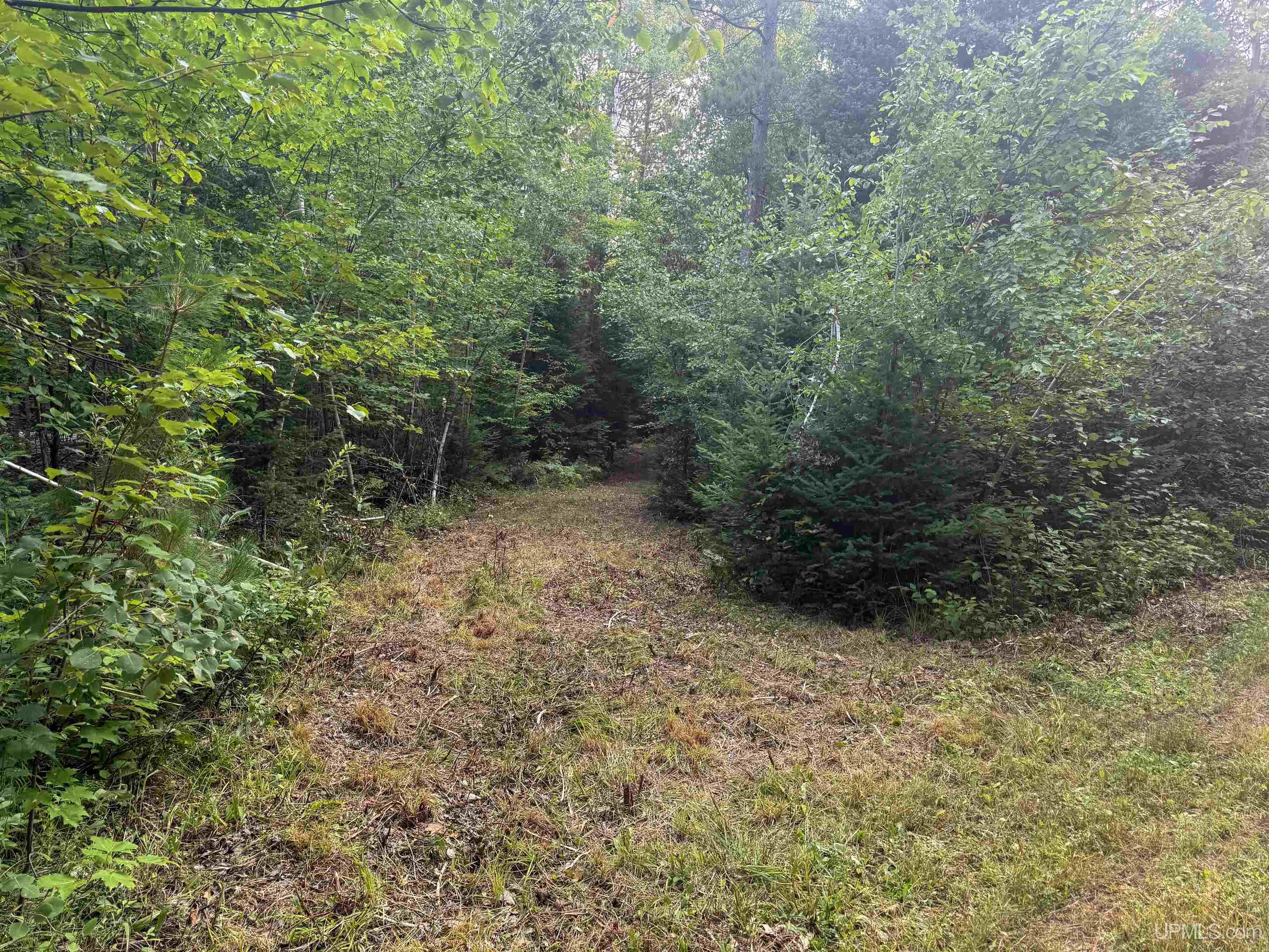 Photo 3 of Land for sale at Lot 13 (south) M 64 Hwy, Ontonagon, MI 49953 | MLS# 50221608 | Listing updated on 2026-09-12