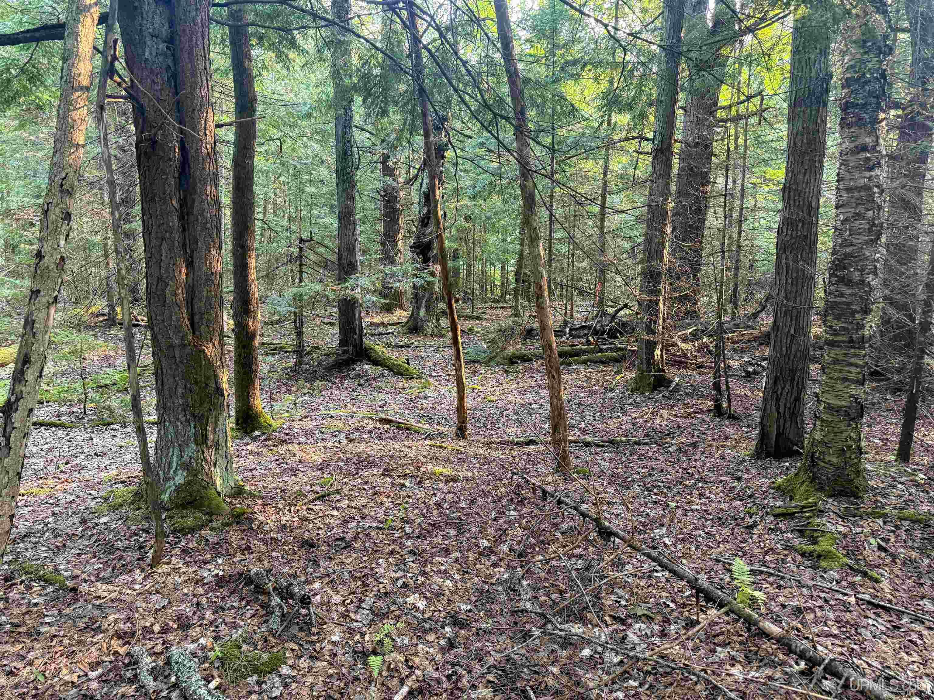 Photo 3 of Land for sale at Lot 13 (south) M 64 Hwy, Ontonagon, MI 49953 | MLS# 50221608 | Listing updated on 2026-09-12