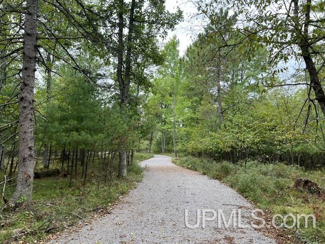 Photo 3 of Land for sale at W5182 Turkey Trot Ln, Wausaukee T Wi, WI 54177 | MLS# 50221630 | Listing updated on 2026-09-12