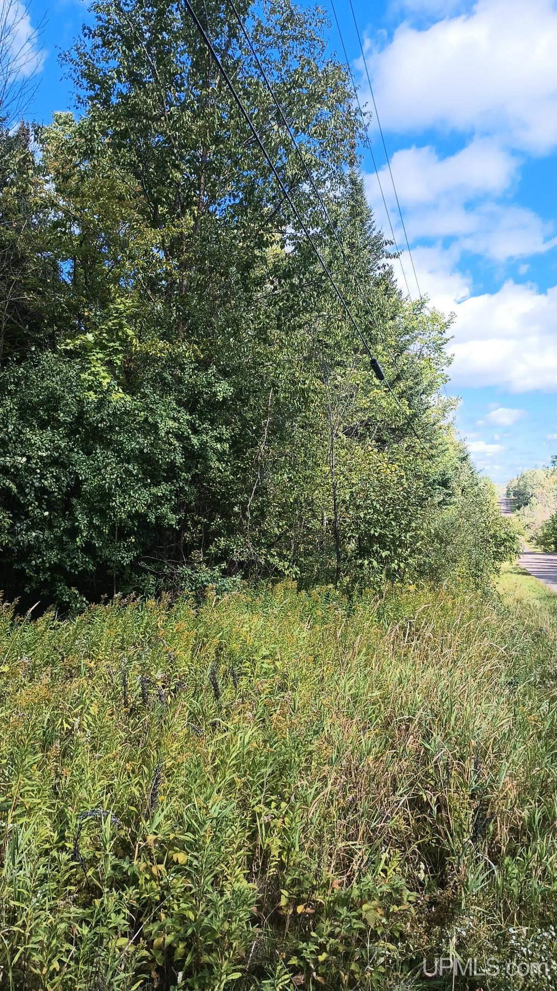 Photo 2 of Land for sale at Tbd Pierce St, Wakefield, MI 49968 | MLS# 50221639 | Listing updated on 2026-09-28