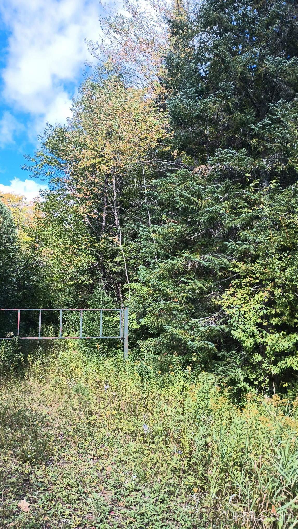 Photo 3 of Land for sale at Tbd Pierce St, Wakefield, MI 49968 | MLS# 50221639 | Listing updated on 2026-09-28