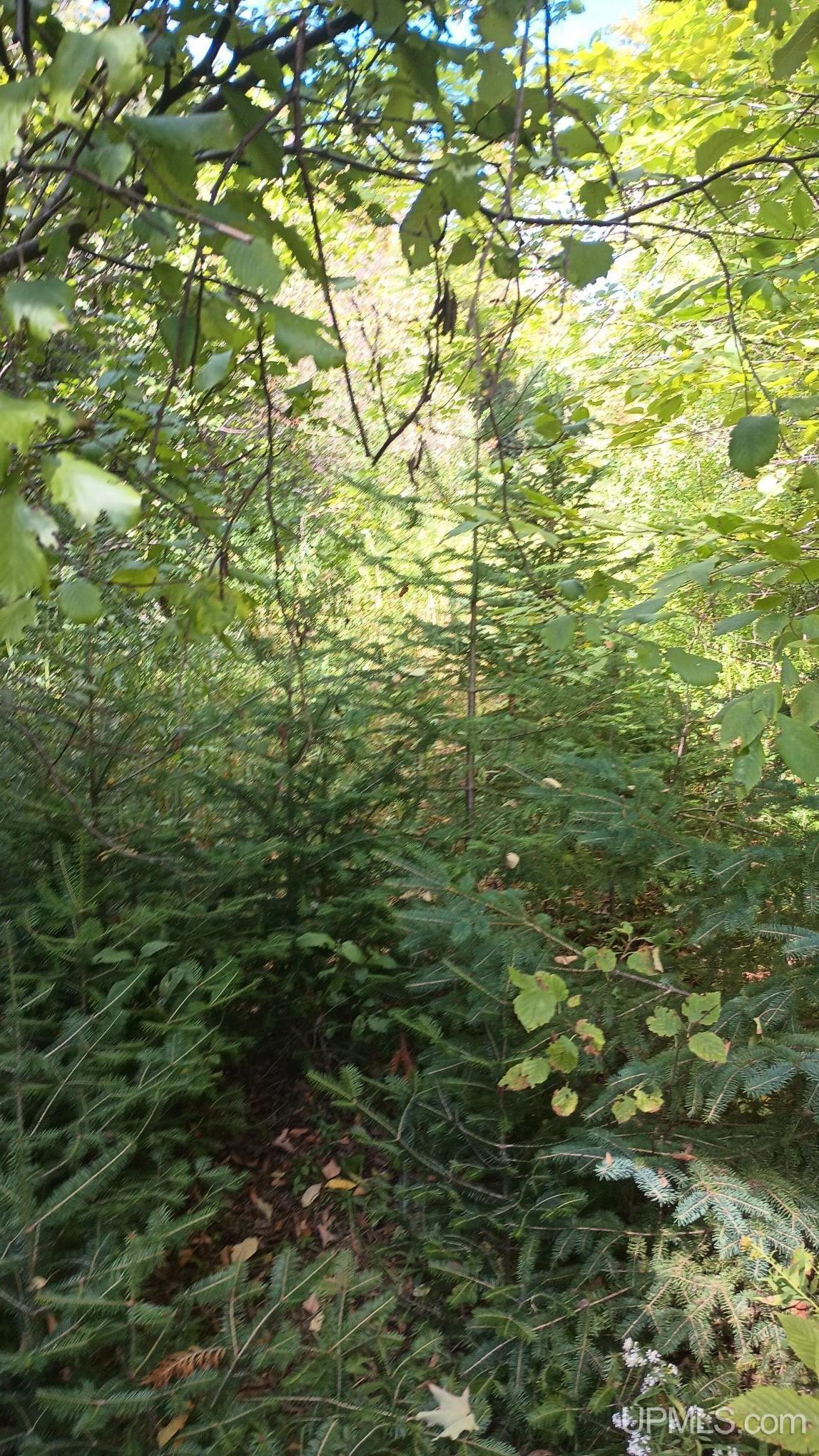 Photo 3 of Land for sale at Tbd Pierce St, Wakefield, MI 49968 | MLS# 50221639 | Listing updated on 2026-09-28