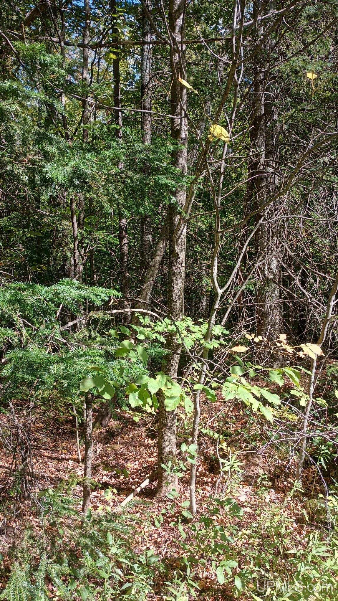 Photo 4 of Land for sale at Tbd Pierce St, Wakefield, MI 49968 | MLS# 50221639 | Listing updated on 2026-09-28