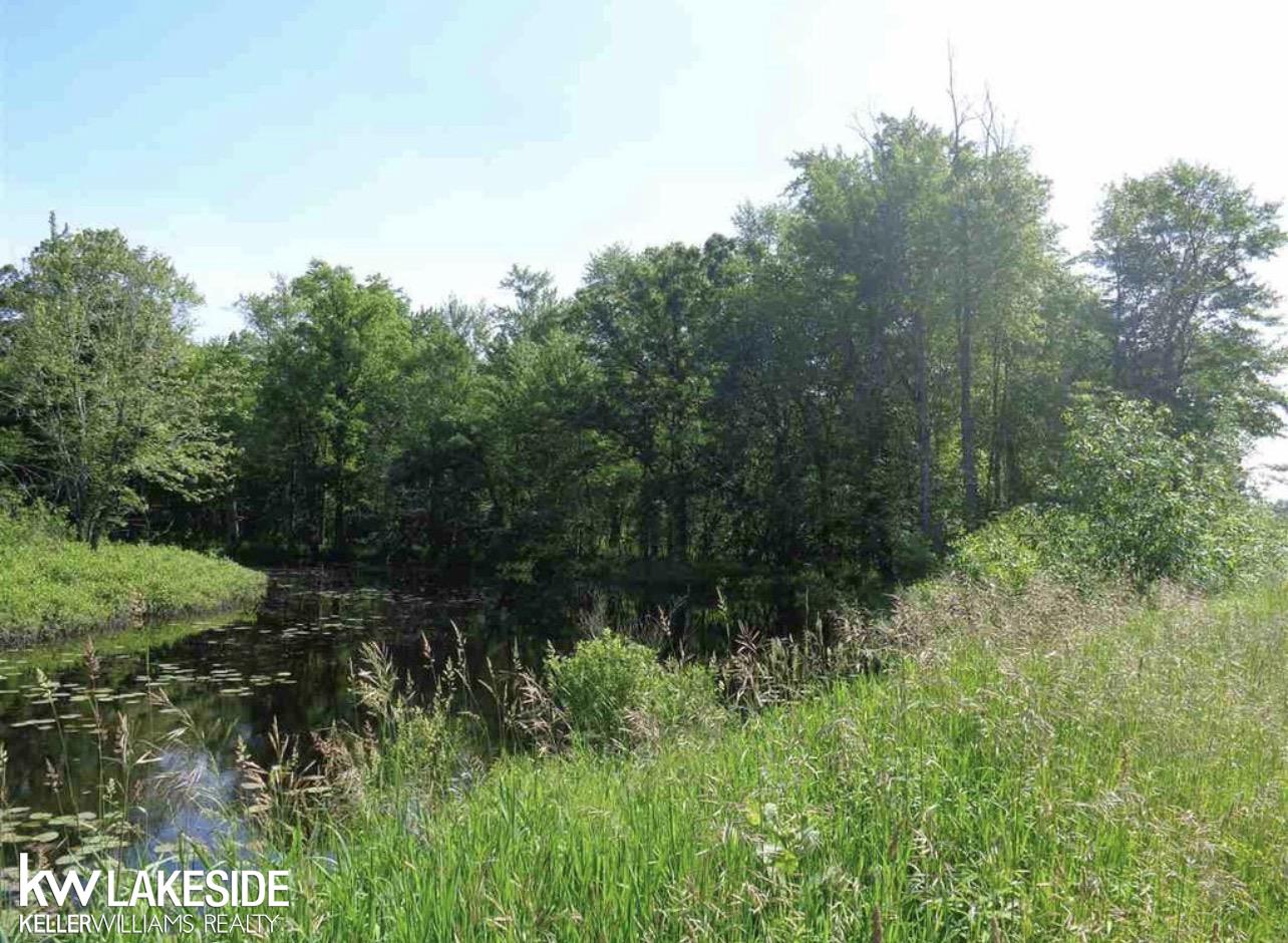 Photo 3 of Sale Pending at 0 Cadillac Rd, Merritt, MI 49667 | MLS# 50221645 | Listing updated on 2026-09-30