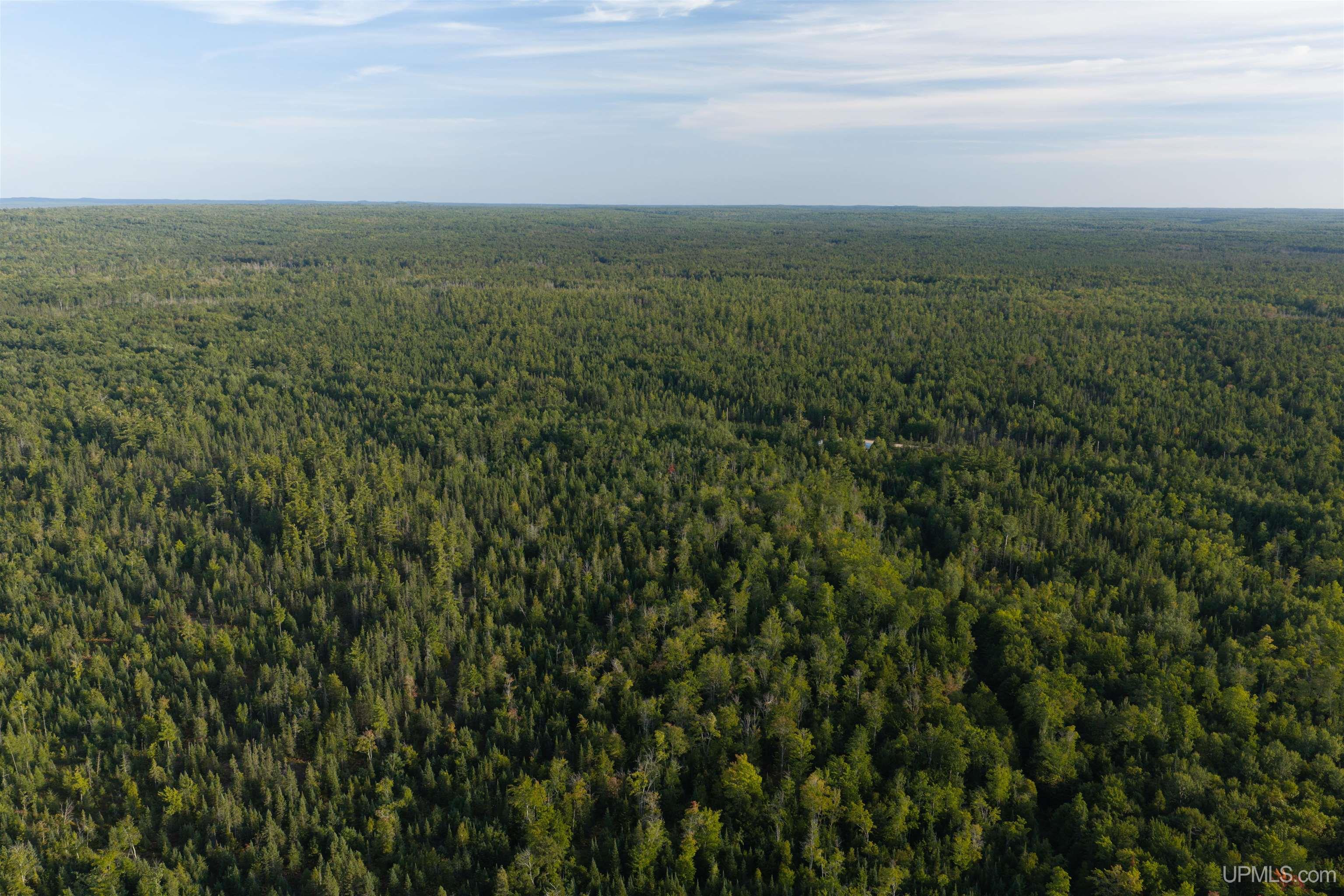 Photo 3 of Land for sale at Tbd 120 Acres Parcel A Off Deerton Rd, Deerton, MI 49822 | MLS# 50221654 | Listing updated on 2026-09-13