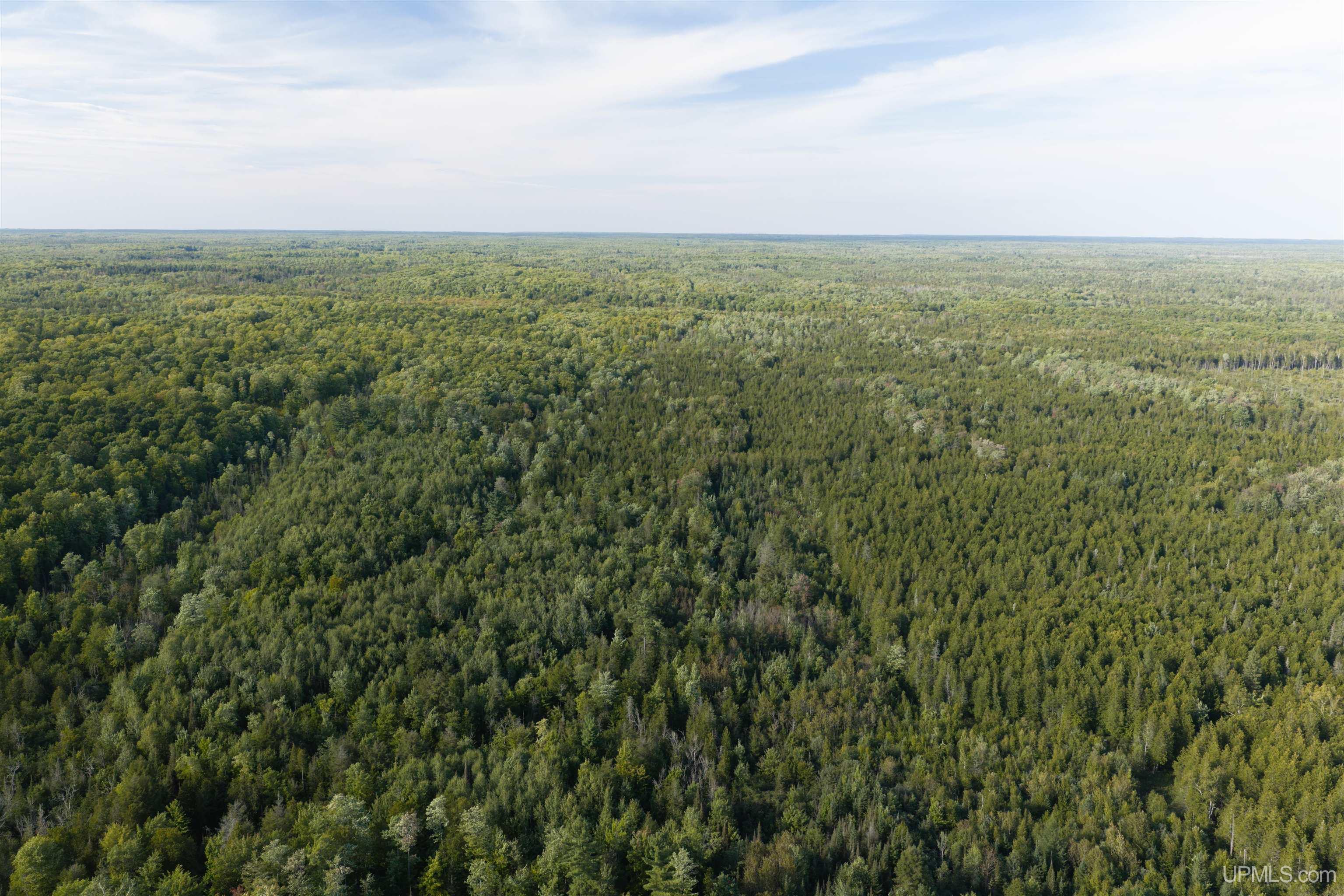 Photo 2 of Land for sale at Tbd 40 Acres A Off Diffin Rd, Limestone, MI 49816 | MLS# 50221661 | Listing updated on 2026-09-14
