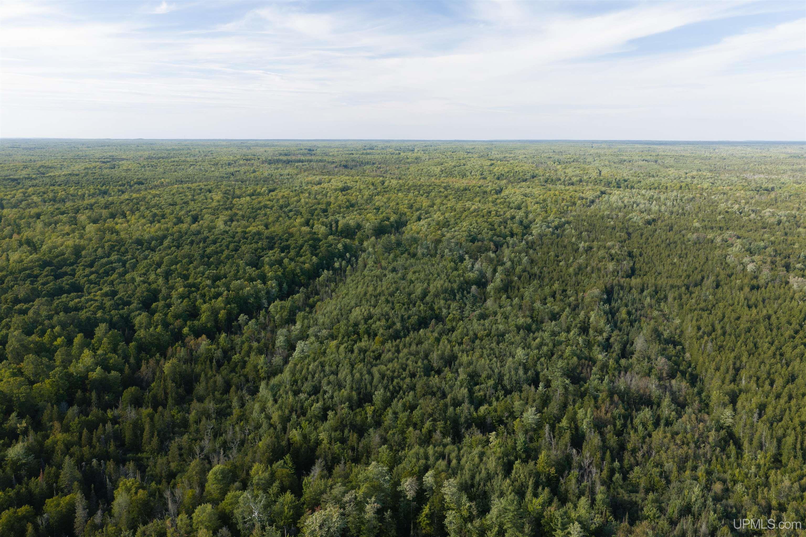 Photo 3 of Land for sale at Tbd 40 Acres A Off Diffin Rd, Limestone, MI 49816 | MLS# 50221661 | Listing updated on 2026-09-14