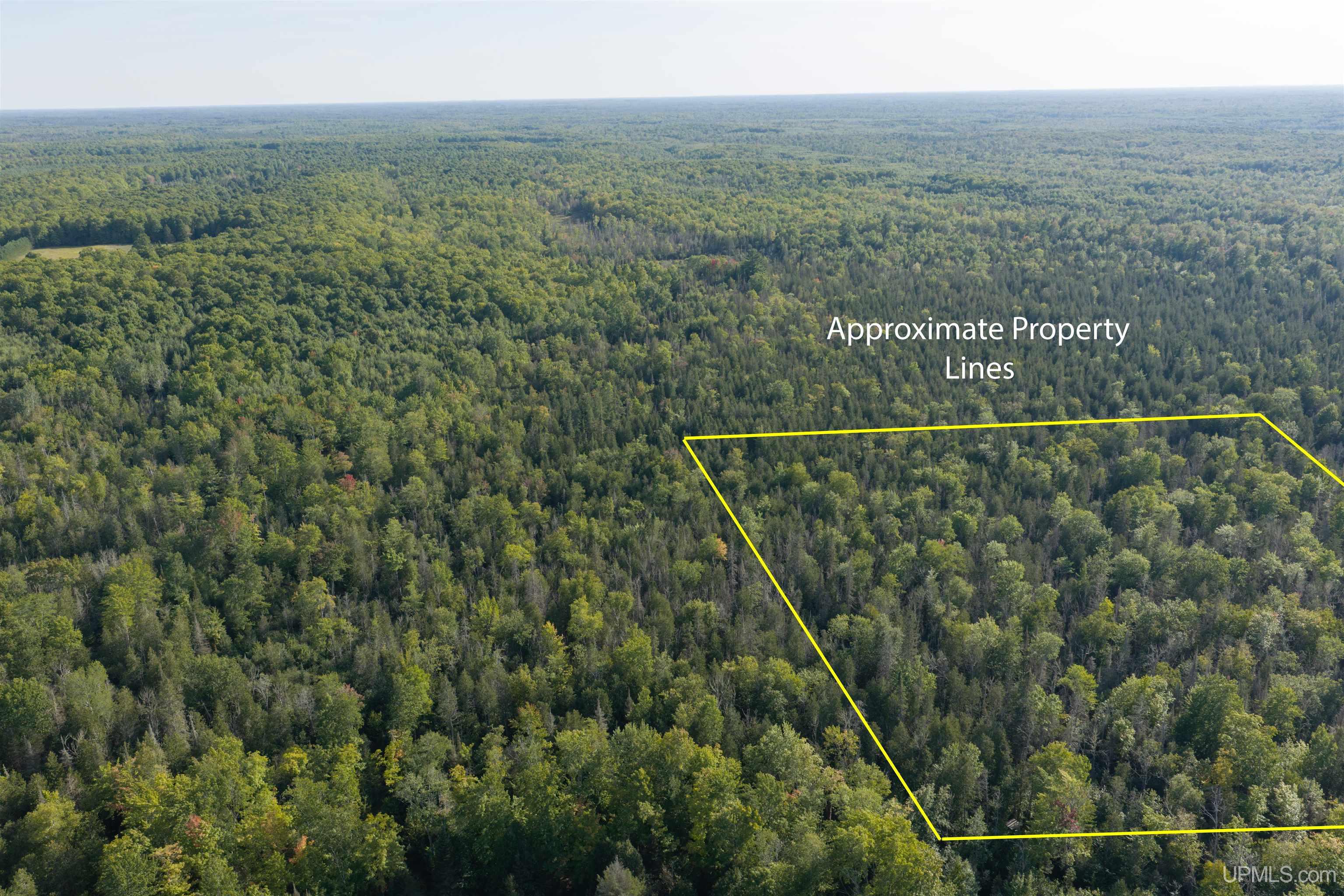 Photo 1 of Land for sale at Tbd 40 Acres Parcel B Diffin Rd, Limestone, MI 49816 | MLS# 50221663 | Listing updated on 2026-09-14