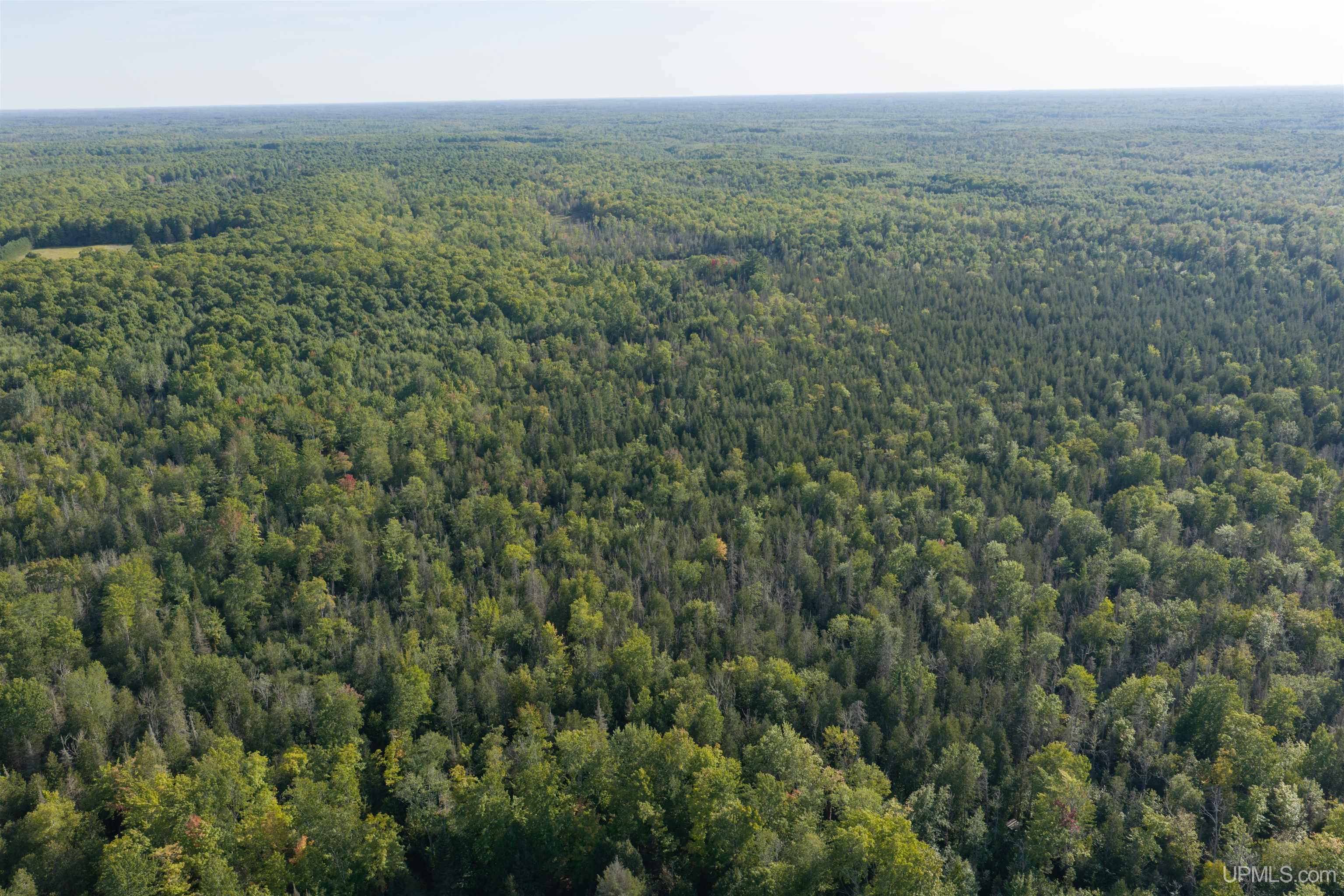 Photo 2 of Land for sale at Tbd 40 Acres Parcel B Diffin Rd, Limestone, MI 49816 | MLS# 50221663 | Listing updated on 2026-09-14