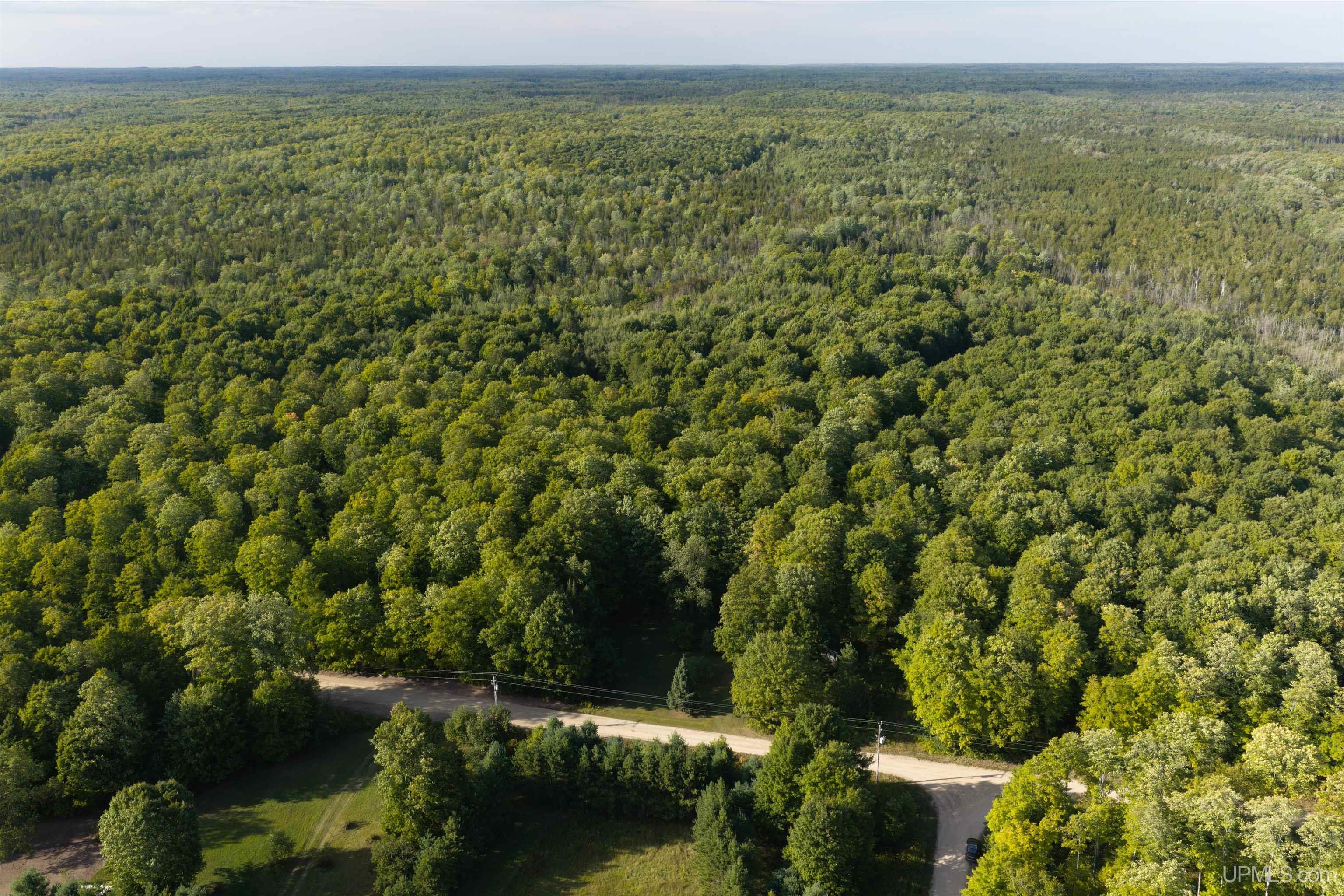 Photo 3 of Land for sale at Tbd 40 Acres Parcel B Diffin Rd, Limestone, MI 49816 | MLS# 50221663 | Listing updated on 2026-09-14