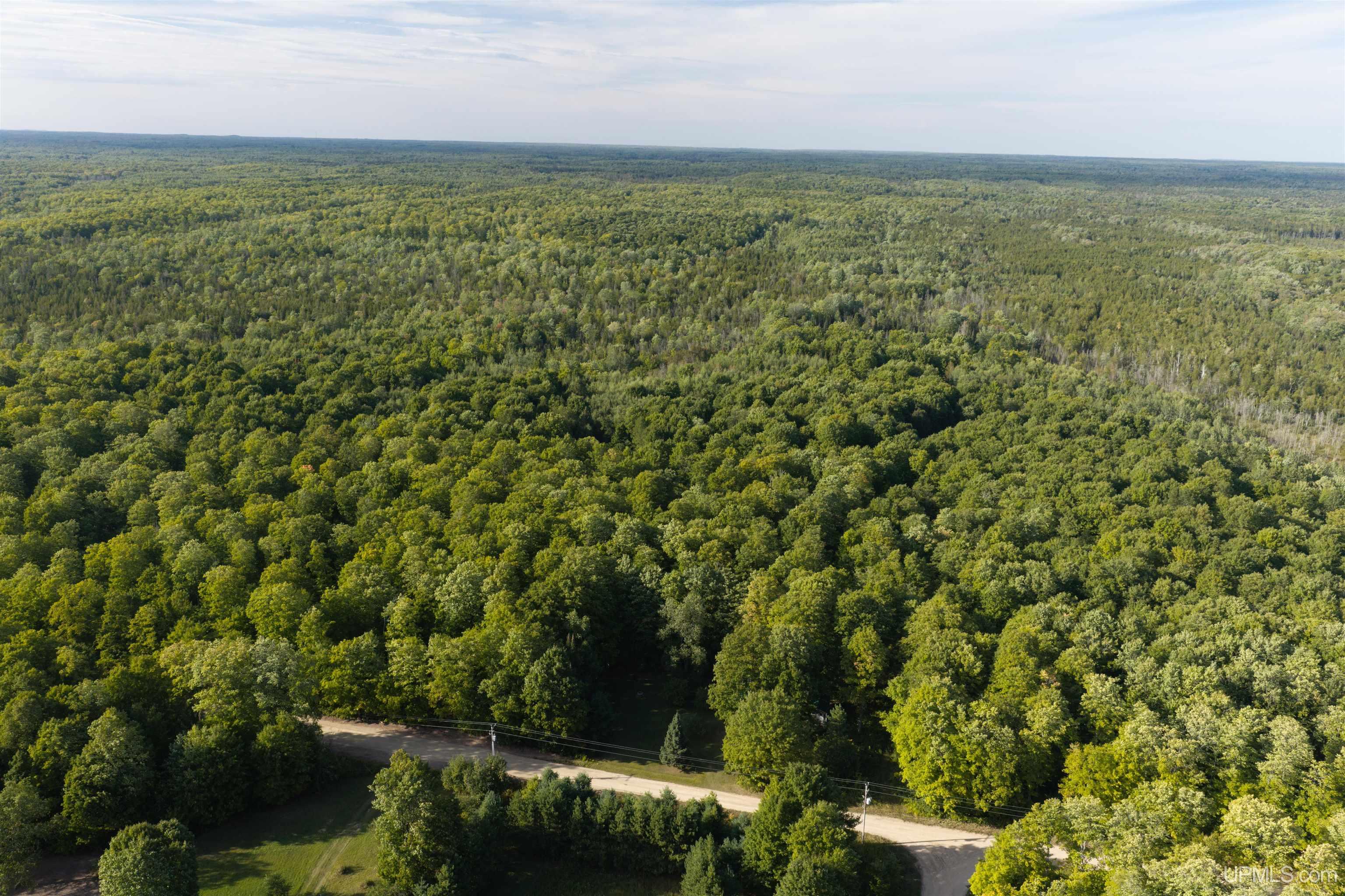 Photo 4 of Land for sale at Tbd 40 Acres Parcel B Diffin Rd, Limestone, MI 49816 | MLS# 50221663 | Listing updated on 2026-09-14