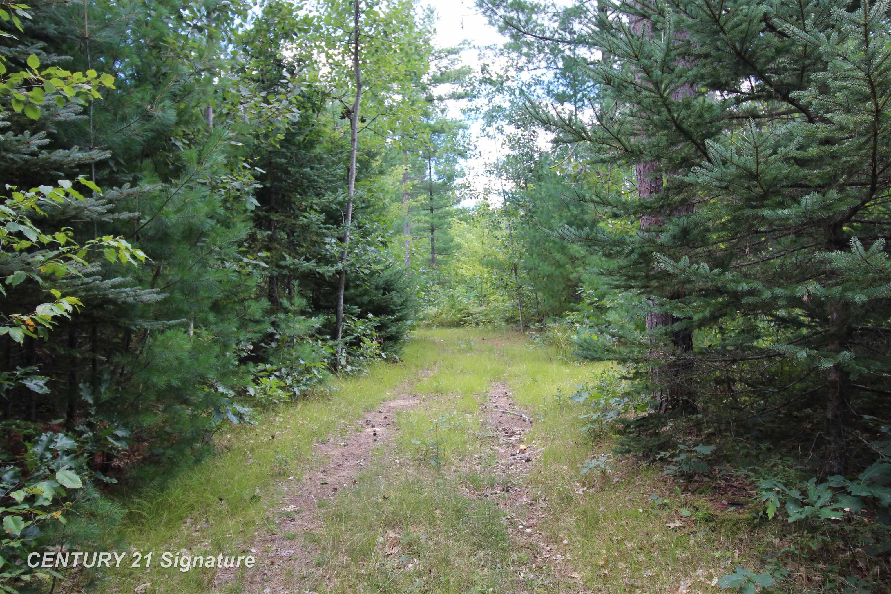 Photo 2 of Land for sale at 6595 Wickert Rd, Hale, MI 48739 | MLS# 61050221839 | Listing updated on 2026-09-15