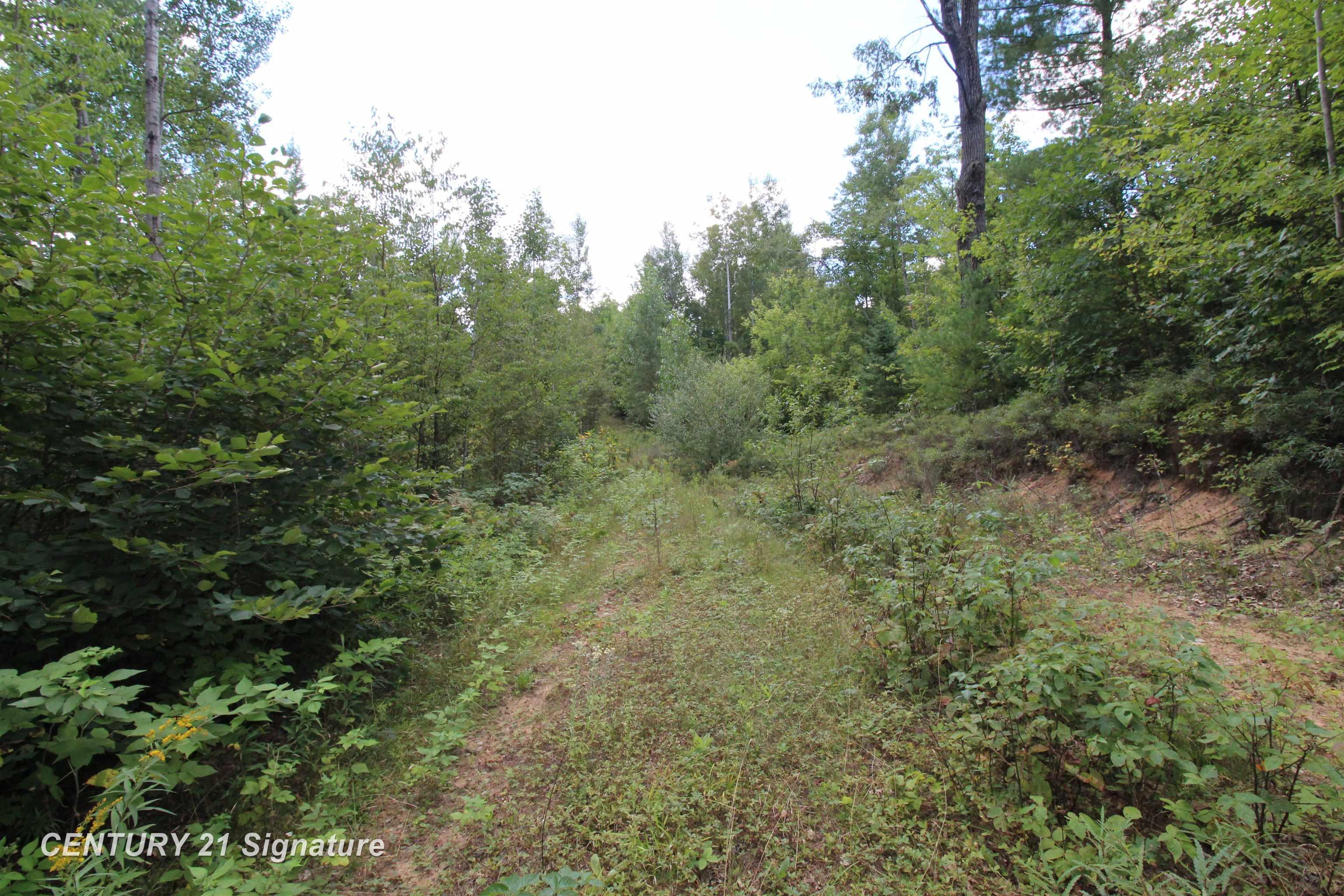 Photo 3 of Land for sale at 6595 Wickert Rd, Hale, MI 48739 | MLS# 61050221839 | Listing updated on 2026-09-15
