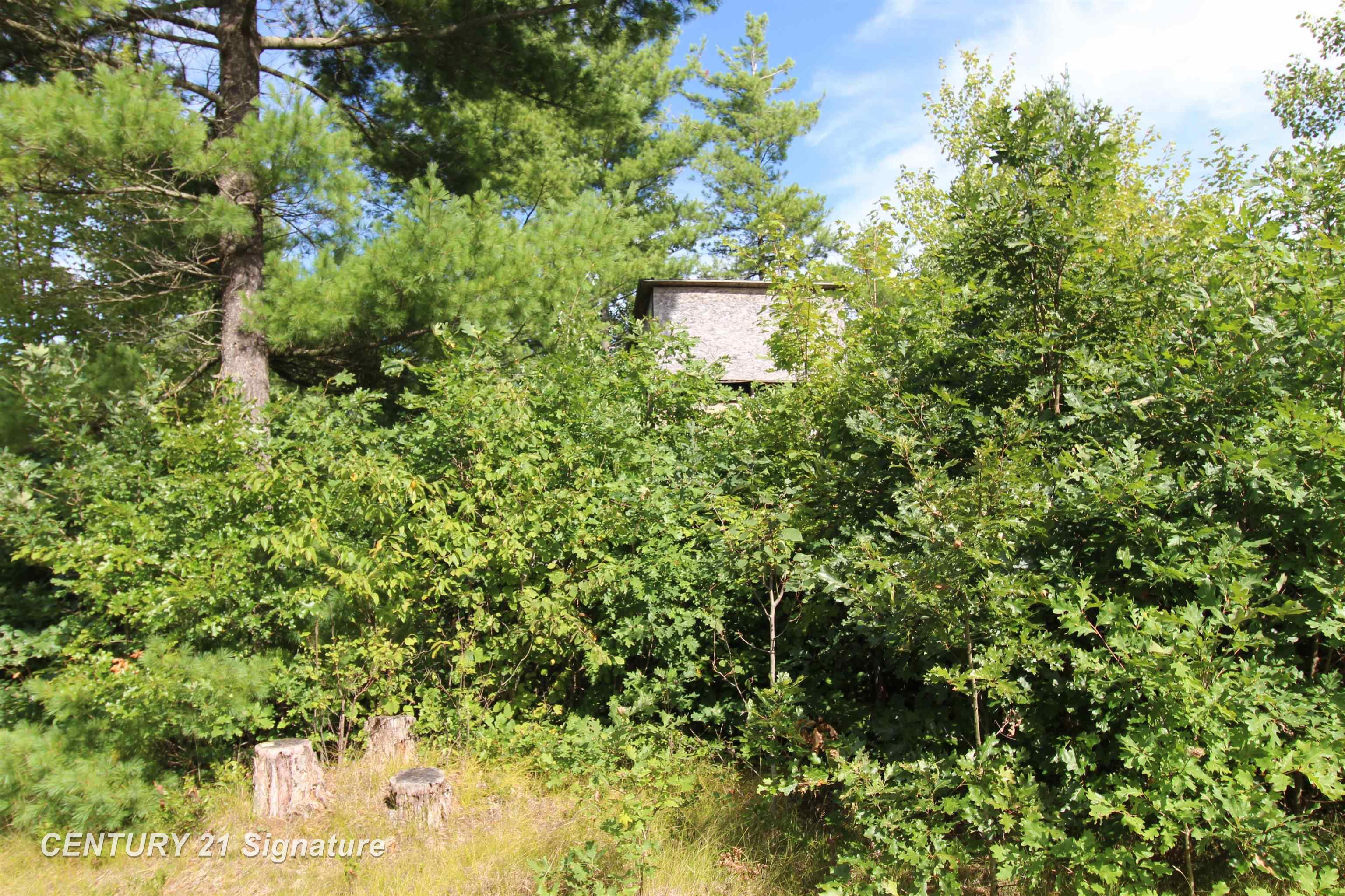 Photo 4 of Land for sale at 6595 Wickert Rd, Hale, MI 48739 | MLS# 61050221839 | Listing updated on 2026-09-15