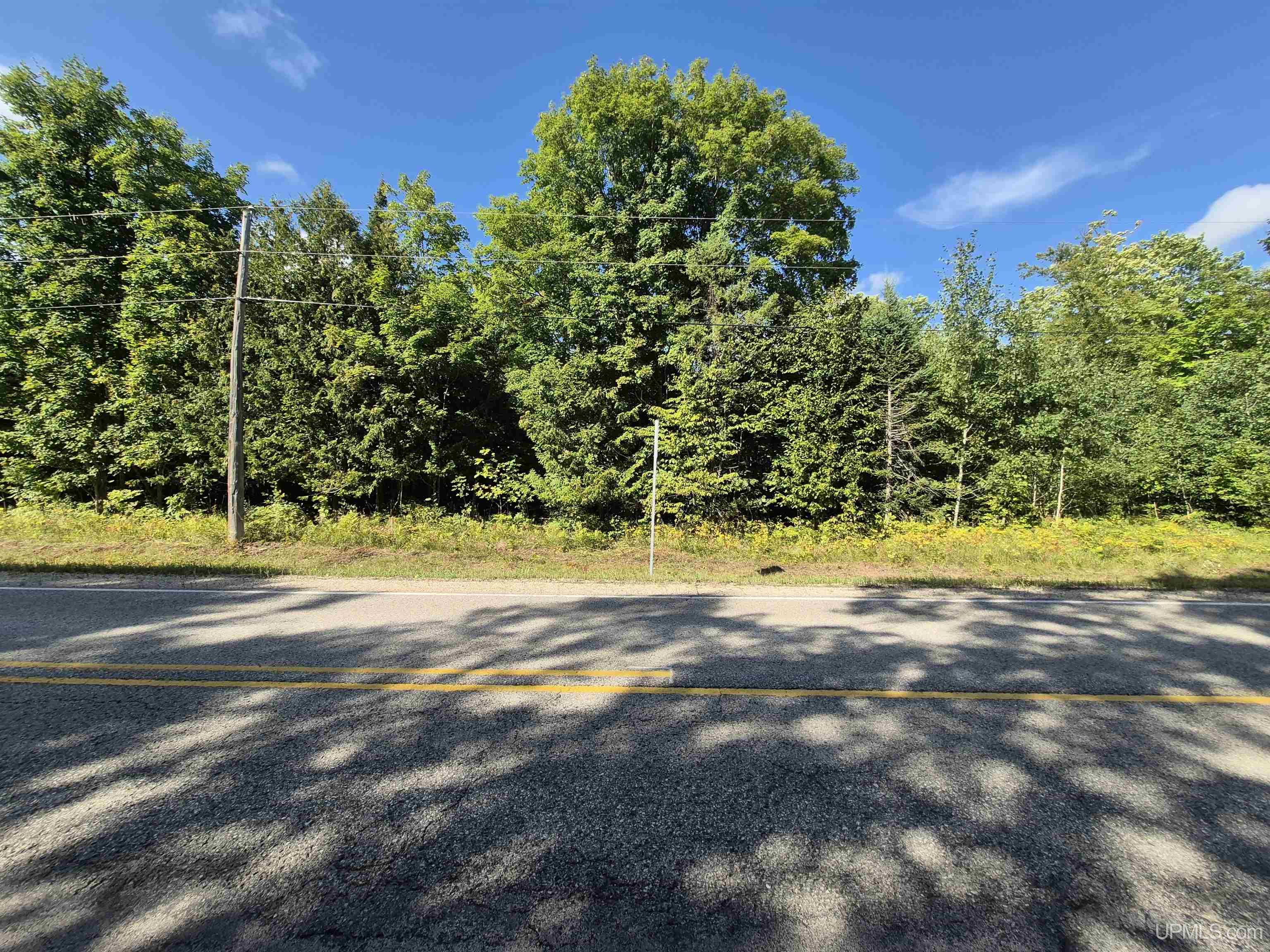 Photo 1 of Land for sale at 10 Acres River Rd, Gulliver, MI 49840 | MLS# 50221856 | Listing updated on 2026-09-16